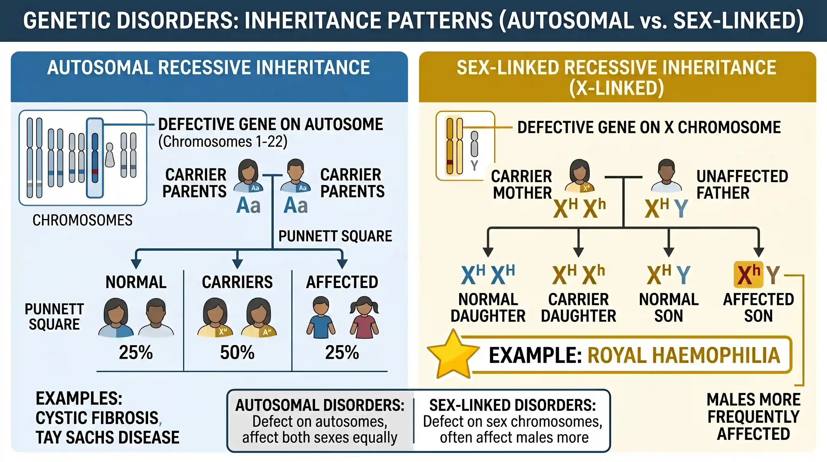 science-and-technology: Which one of the following genetic diseases is sex-linked?
