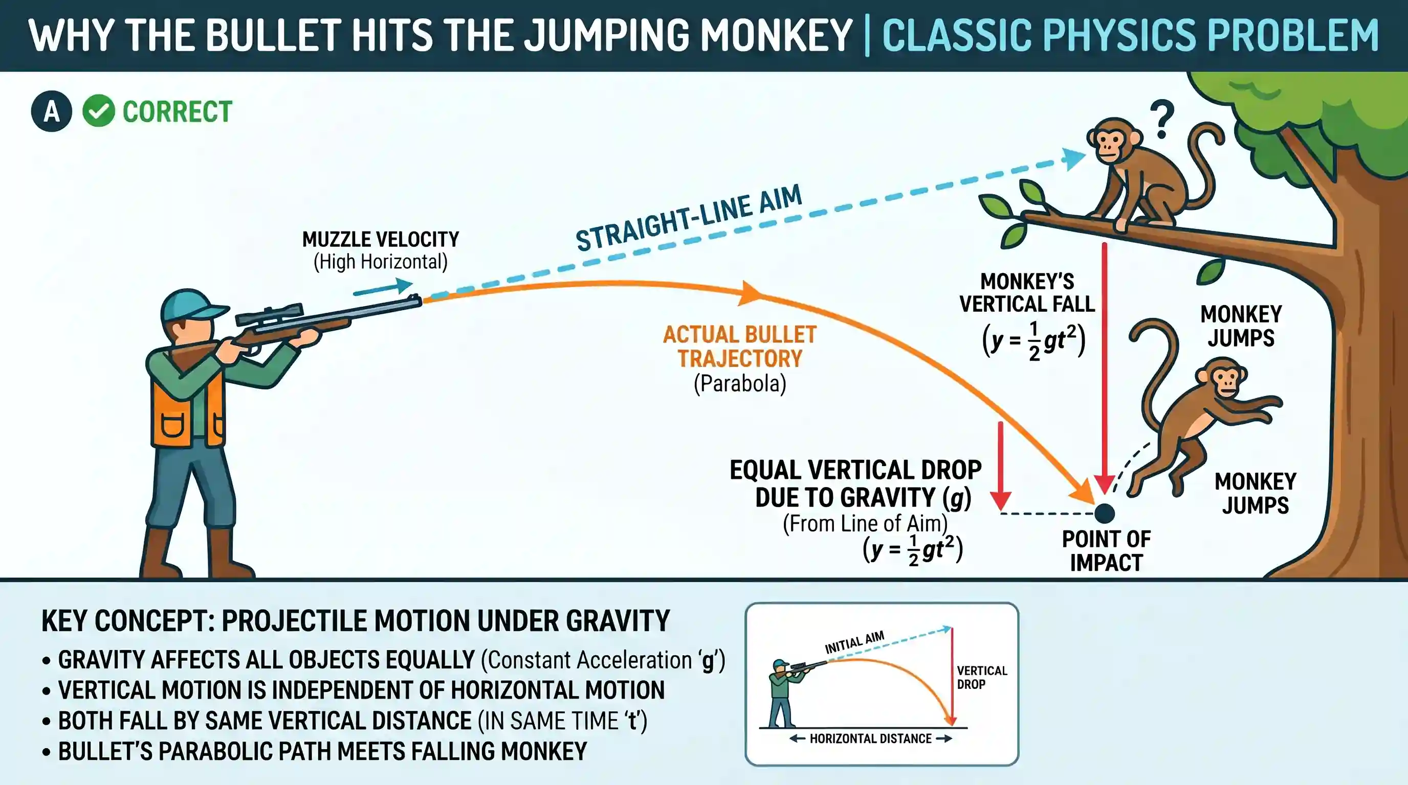 science-and-technology: A hunter aims his gun at a point between the eyebrows of a monkey sitting on a branch of a tree. Just as he fires, the m