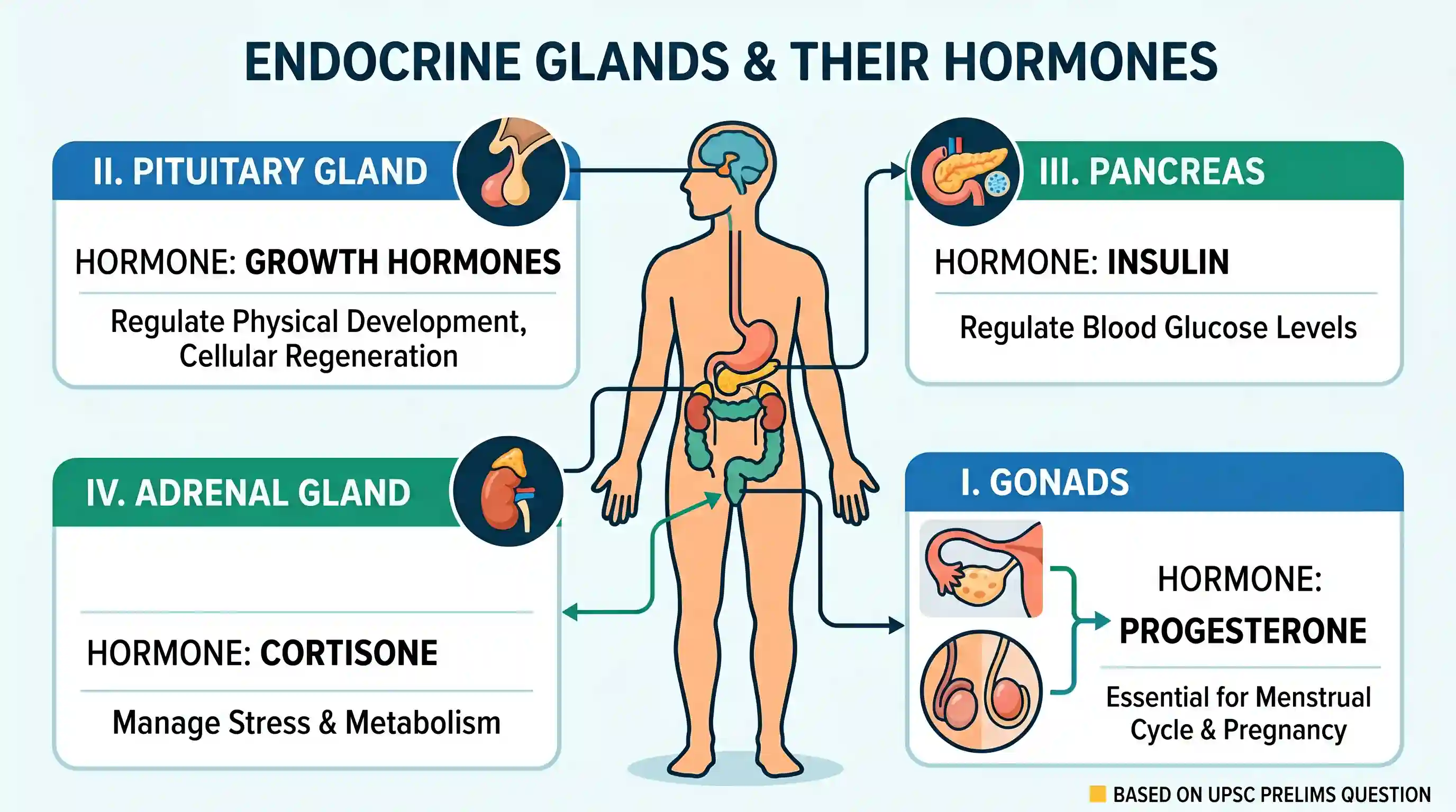 science-and-technology: Match List I (Endocrine glands) with List II (Hormones secreted) and select the correct answer using the codes given bel