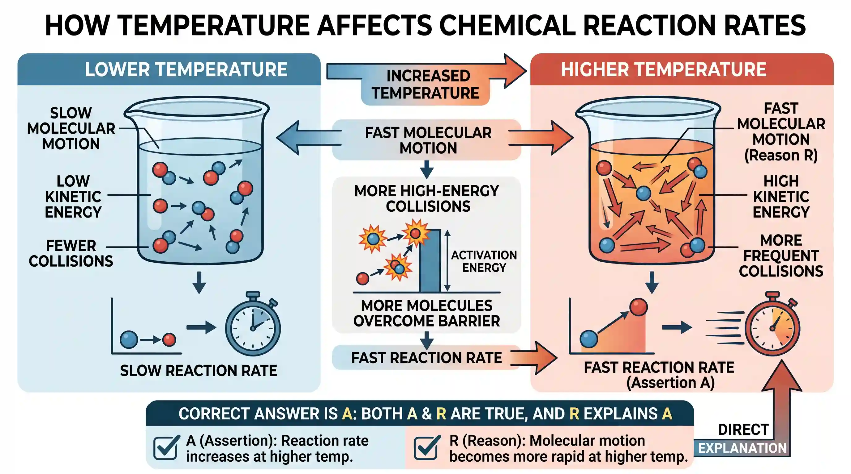 science-and-technology: Assertion (A): A Chemical reaction becomes faster at higher temperatures. Reason (R): At higher temperatures, molecular