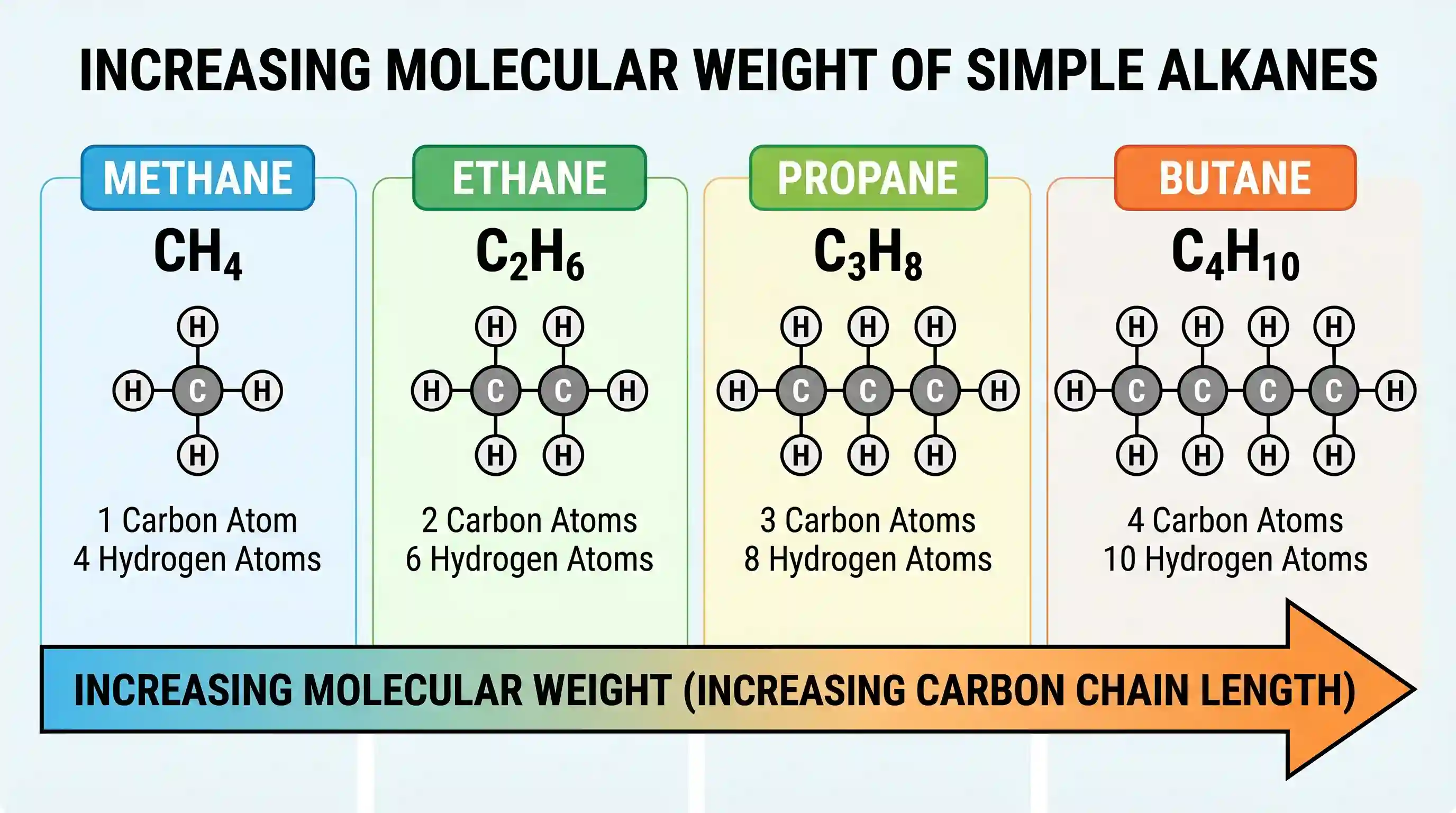 science-and-technology: Which one of the following is the correct sequence in increasing order of molecular weights of the hydrocarbons?