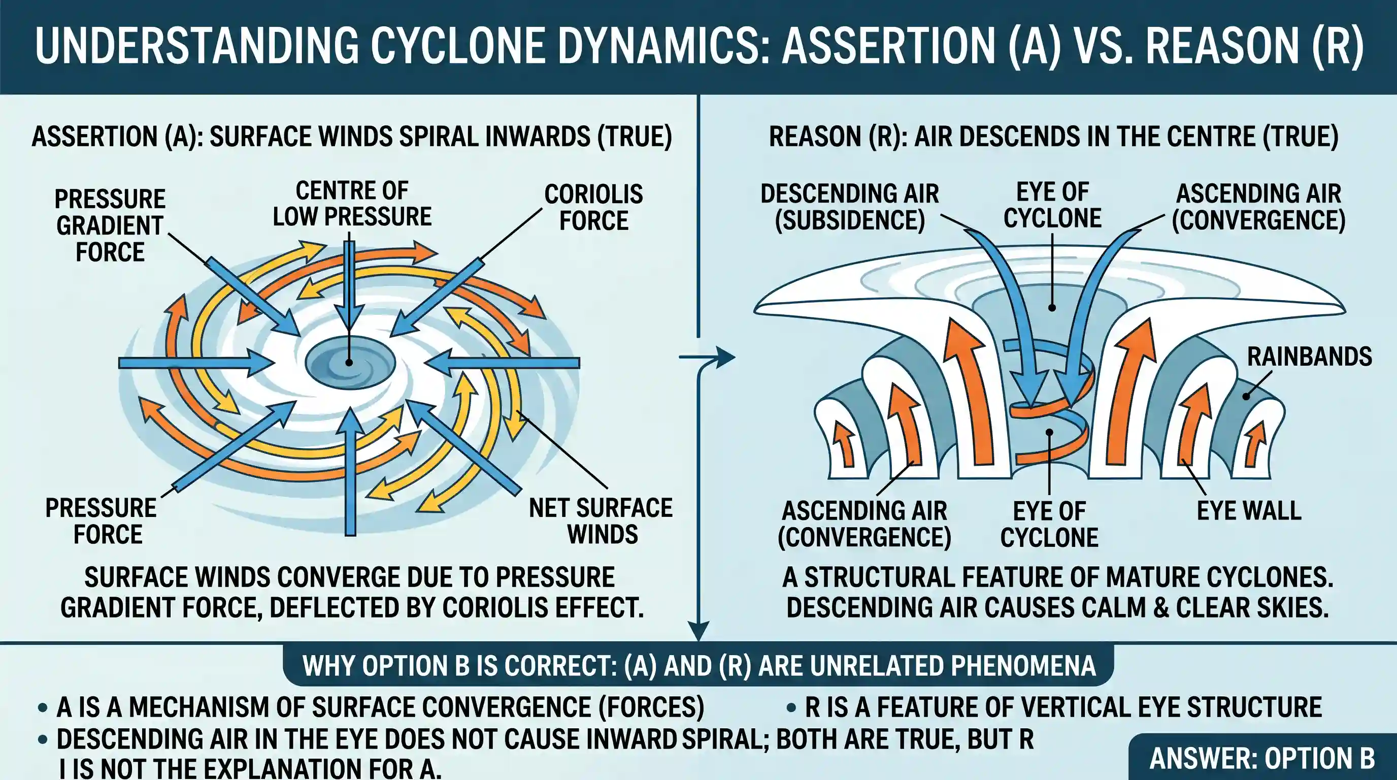 geography: Assertion (A): The surface winds spiral inwards upon the centre of the cyclone. Reason (R): Air descends in the centre o