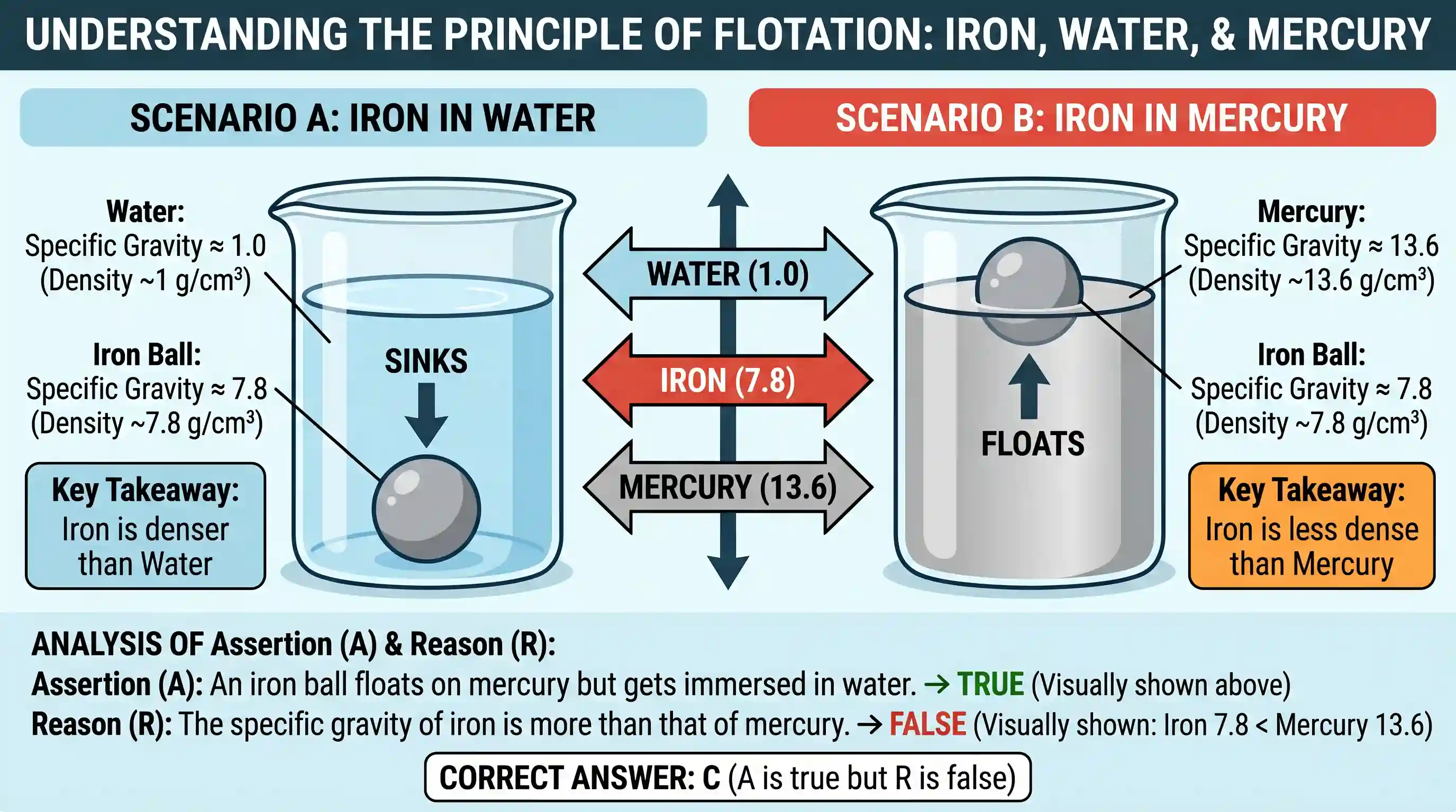 science-and-technology: Assertion (A): An iron ball floats on mercury but gets immersed in water. Reason (R): The specific gravity of iron is mo