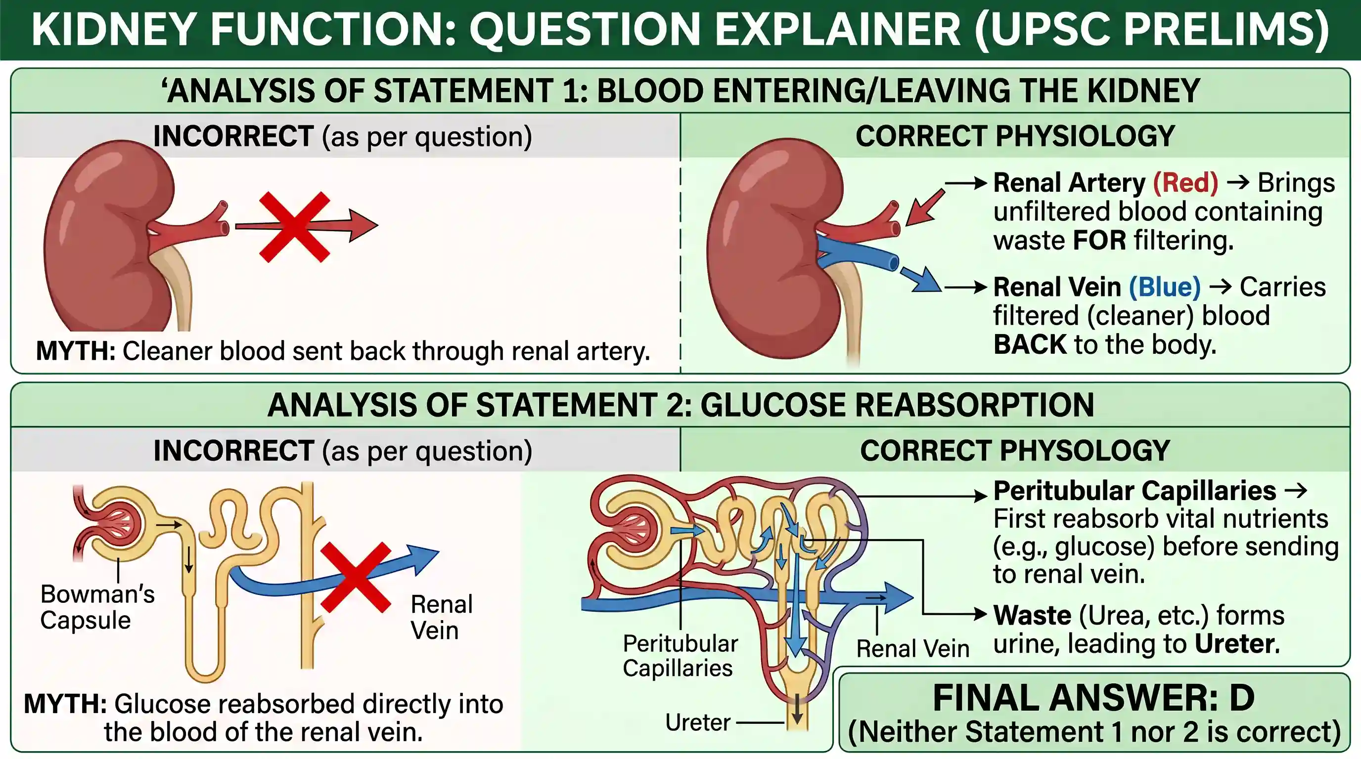 science-and-technology: With reference to the work of human kidney, consider the following statements: 1. After the waste is removed in the kidn