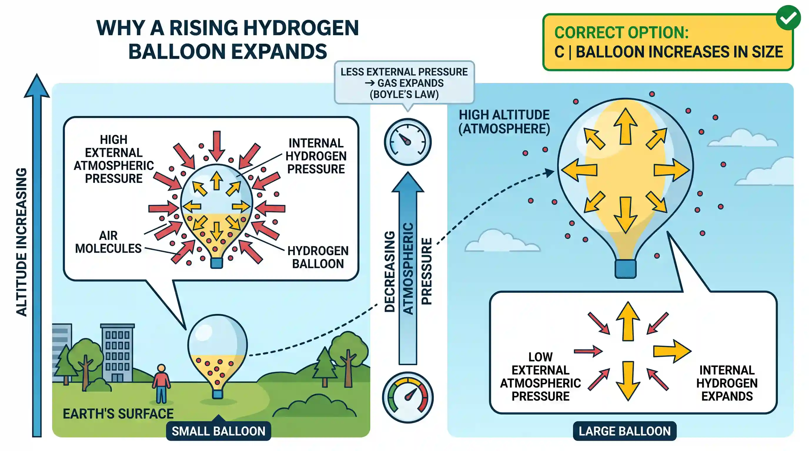 geography: A hydrogen inflated polythene balloon is released from the surface of the earth. As the balloon rises to an altitude up