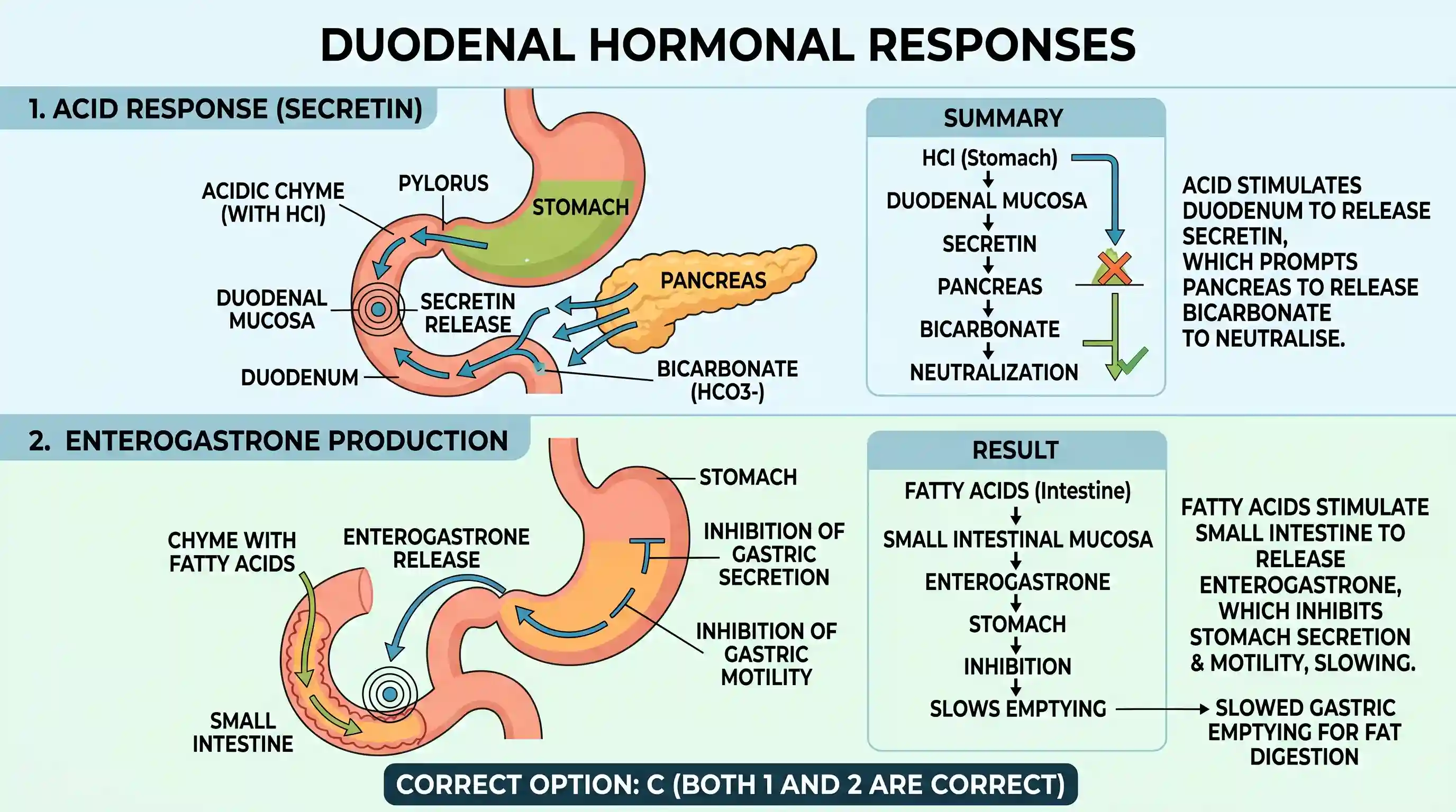 science-and-technology: With reference to normal human beings consider the following statements: 1. In response to the presence of HCL, secretia