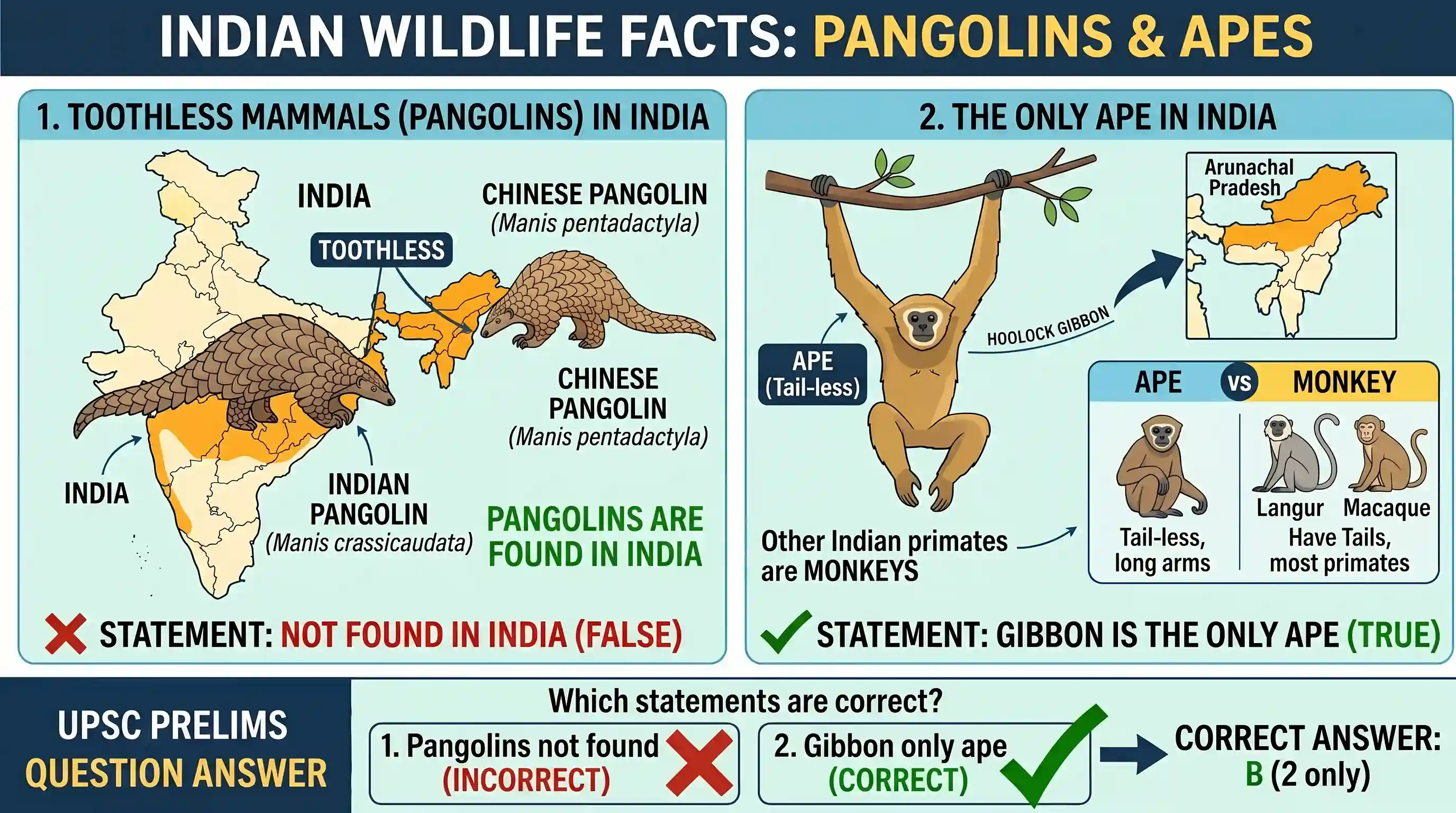 geography: Consider the following statements: 1. Toothless mammals such as pangolins are not found in India. 2. Gibbon is the only