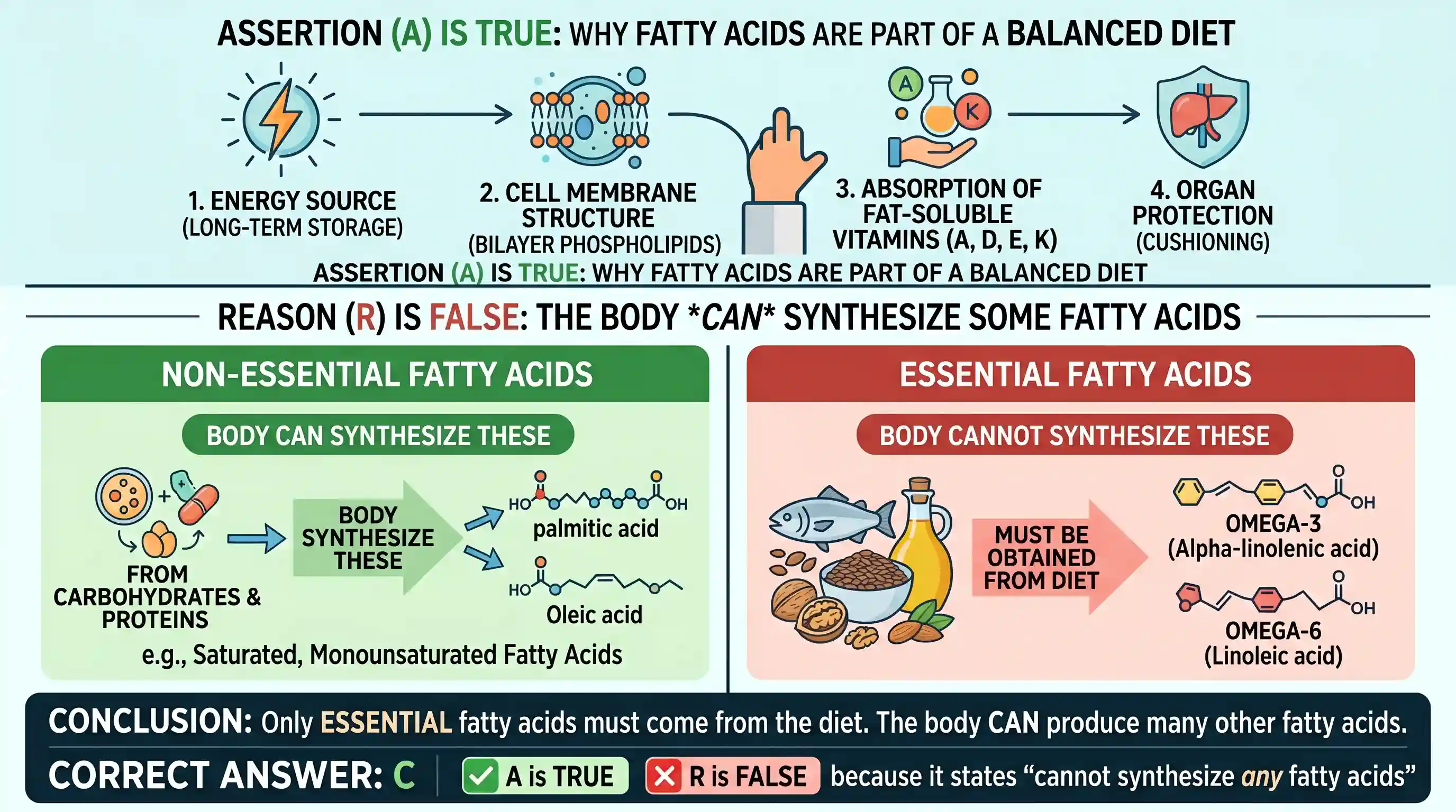 science-and-technology: Assertion (A): Fatty acids should be a part of the balanced human diet. Reason (R): The cells of the human body cannot s