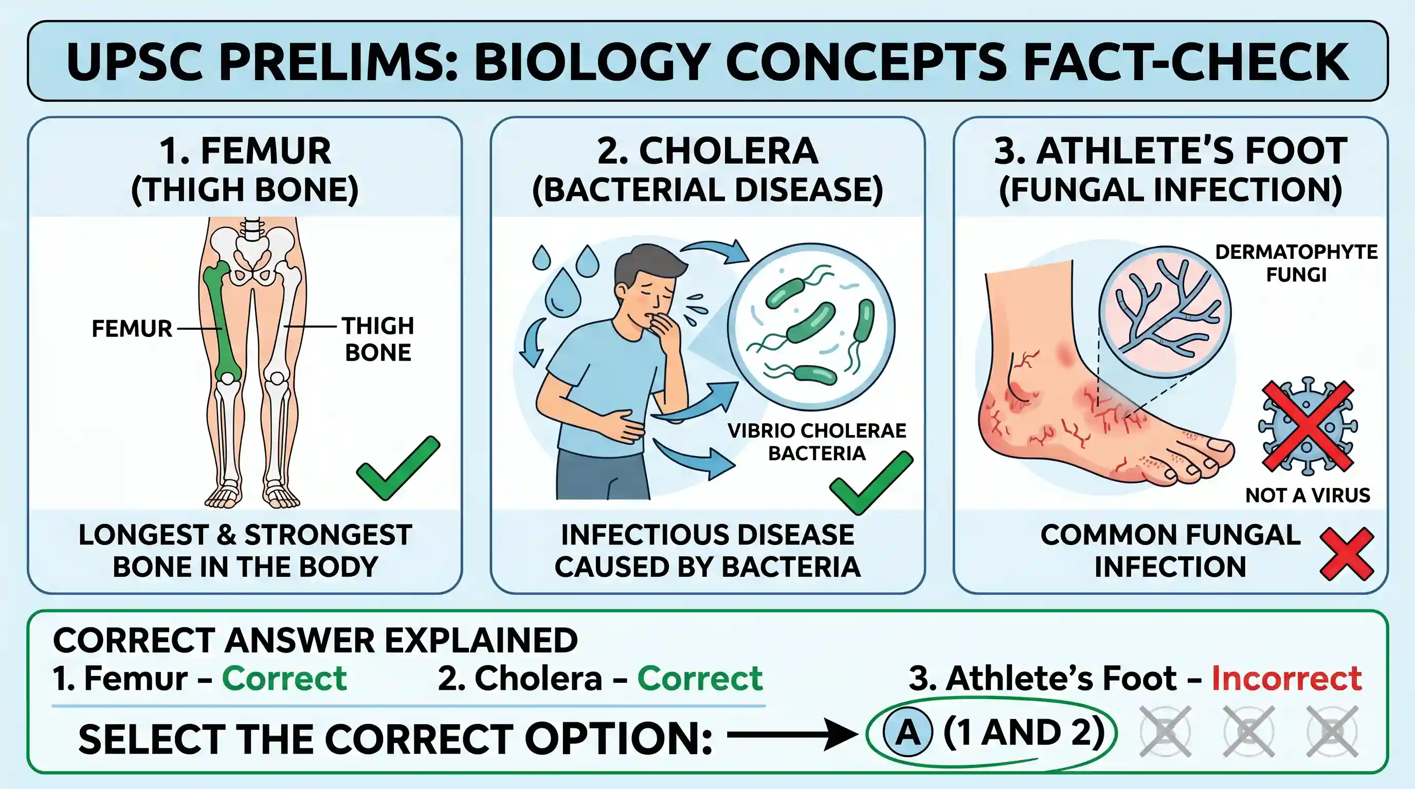 science-and-technology: Consider the following statements: 1. Femur is the longest bone in the human body. 2. Cholera is a disease caused by bac
