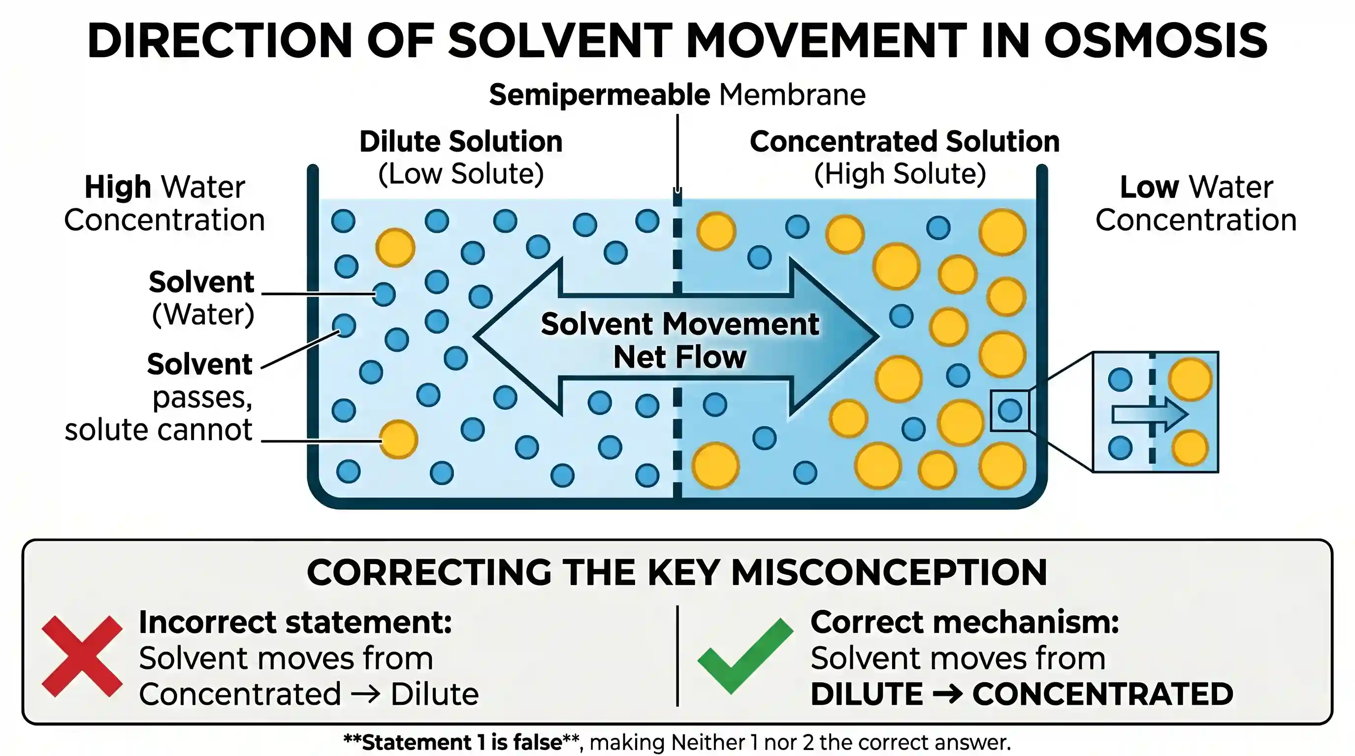 science-and-technology: Consider the following statements: 1. During the process of osmosis, the solvent travels from the concentrated solution