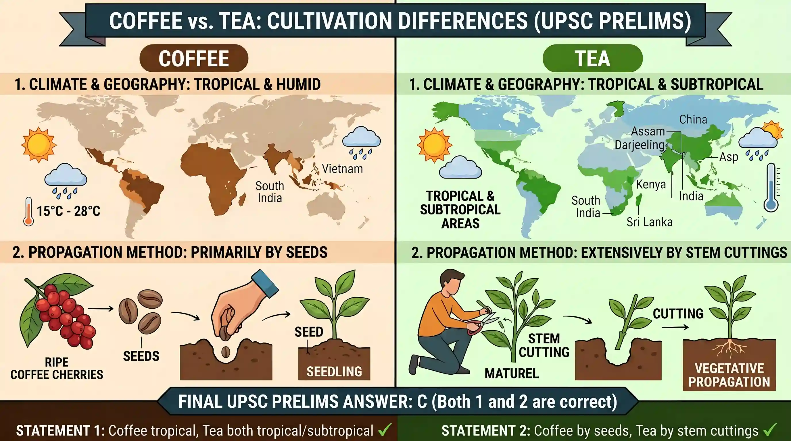 geography: Though coffee and tea both are cultivated on hill slopes, there is some difference between them regarding their cultivat