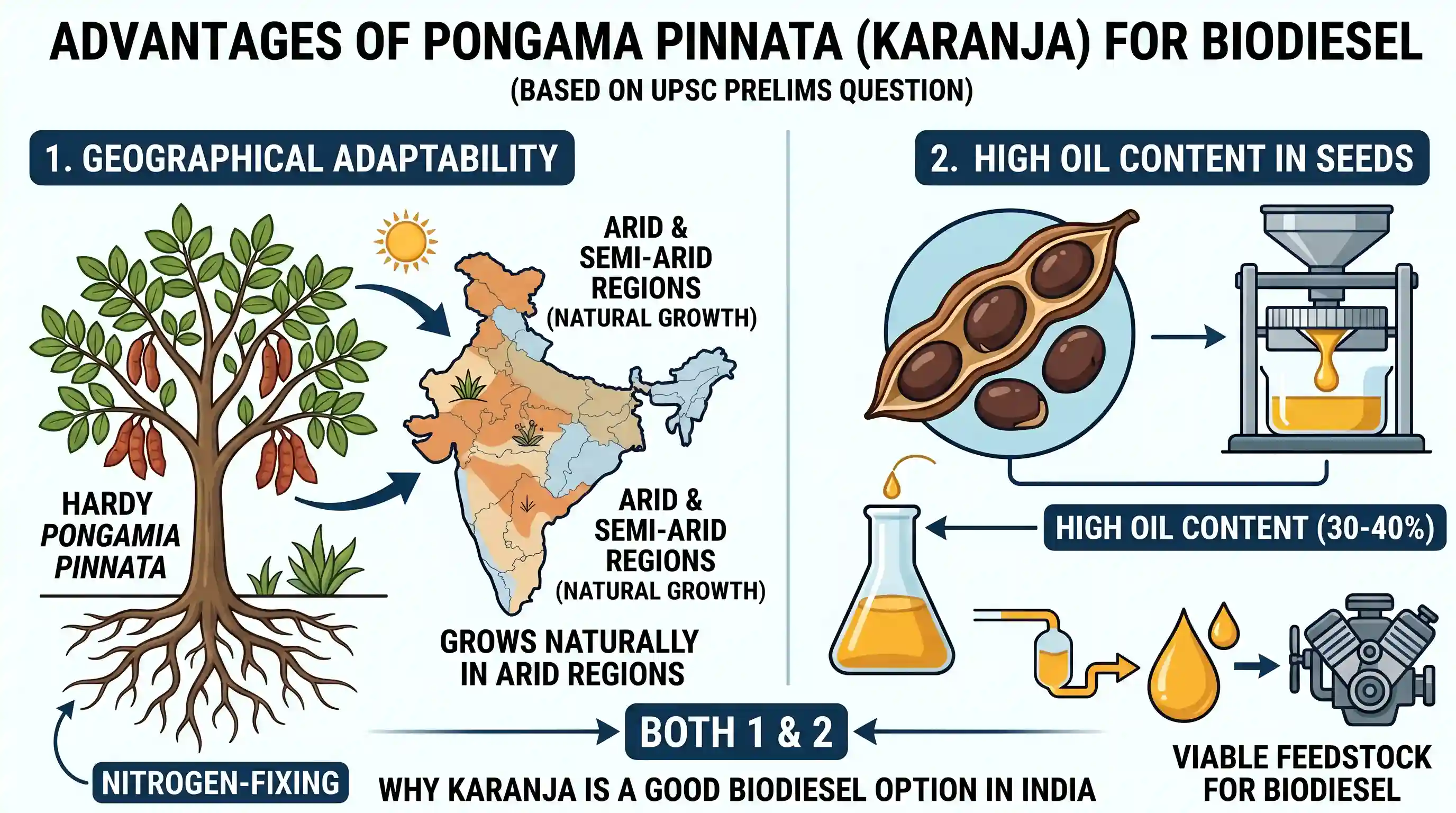 geography: Other than Jatropha curcas, why is Pongamia pinnata also considered a good option for the production of biodiesel in Ind