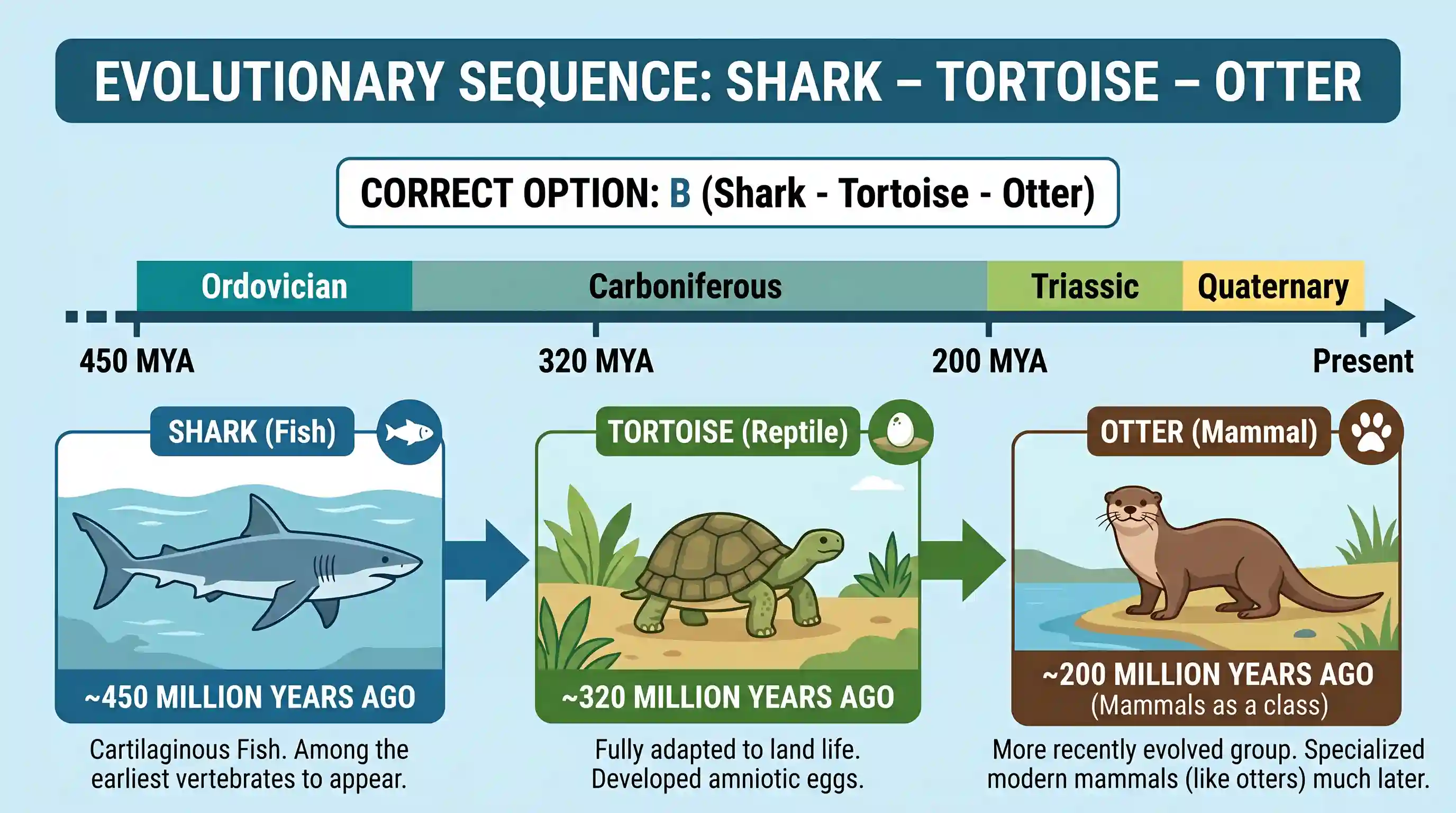 science-and-technology: From the point of view of evolution of living organisms, which one of the following is the correct sequence of evolution