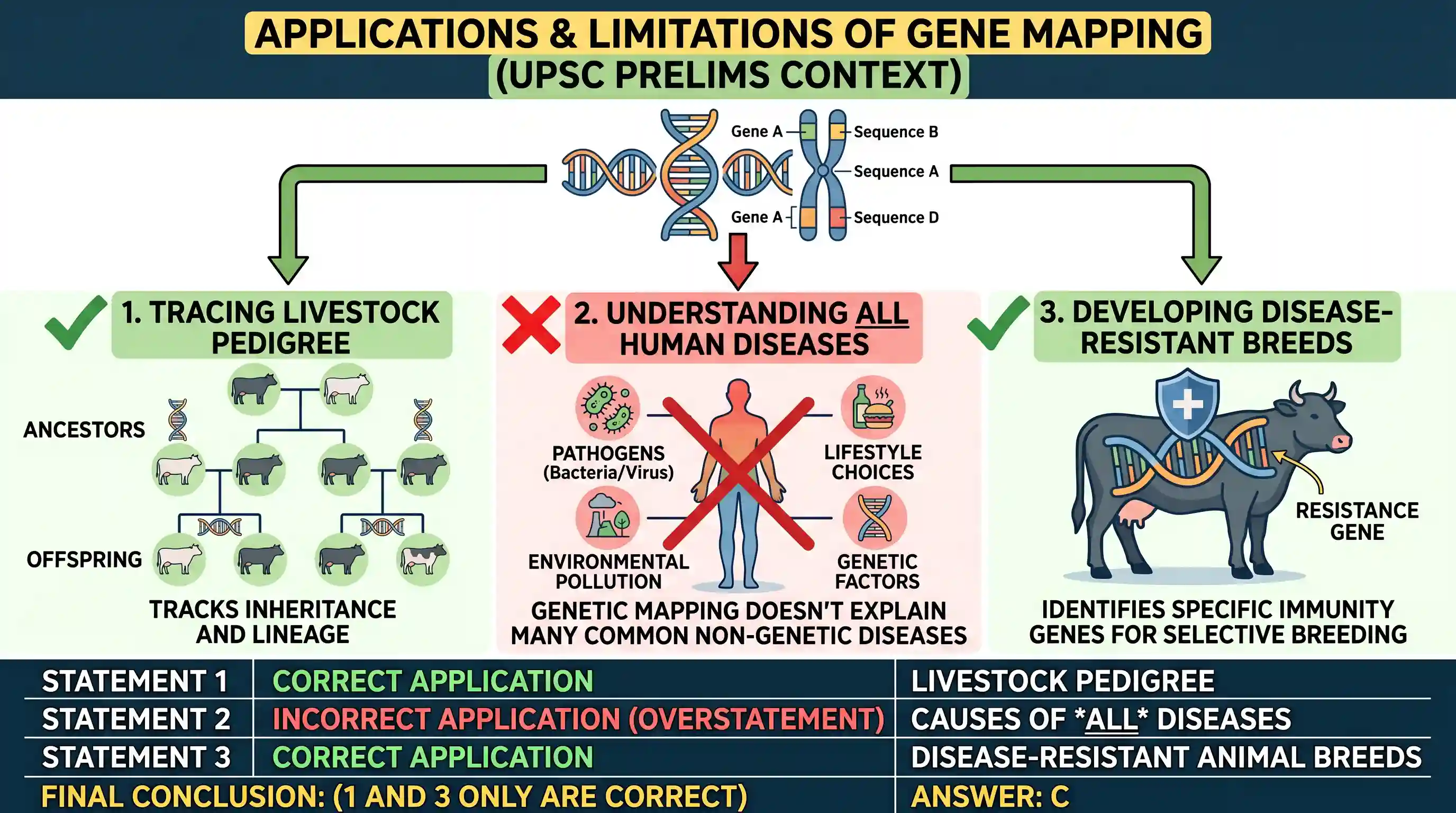 science-and-technology: At present, scientists can determine the arrangement or relative positions of genes or DNA sequences on a chromosome. Ho