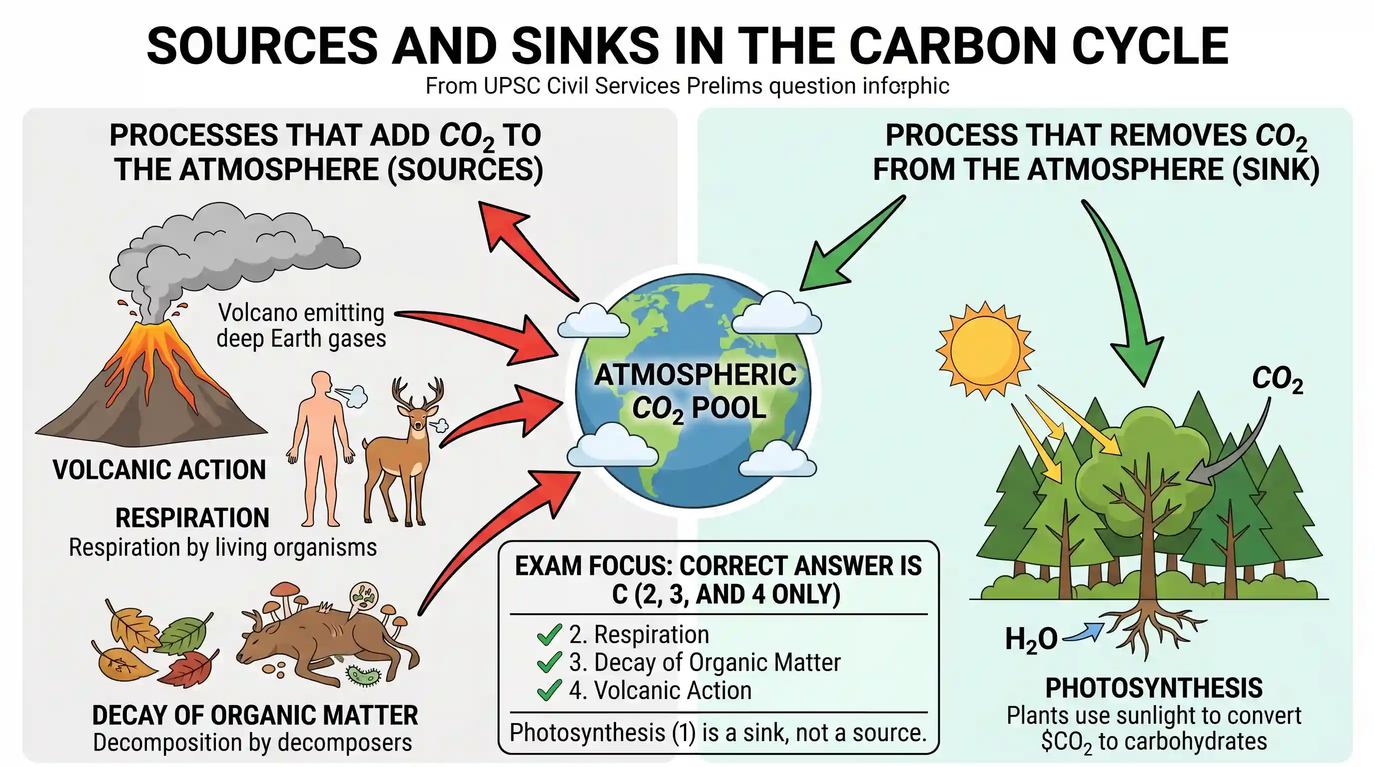 geography: Consider the following: 1. Photosynthesis 2. Respiration 3. Decay of organic matter 4. Volcanic action Which of the abov