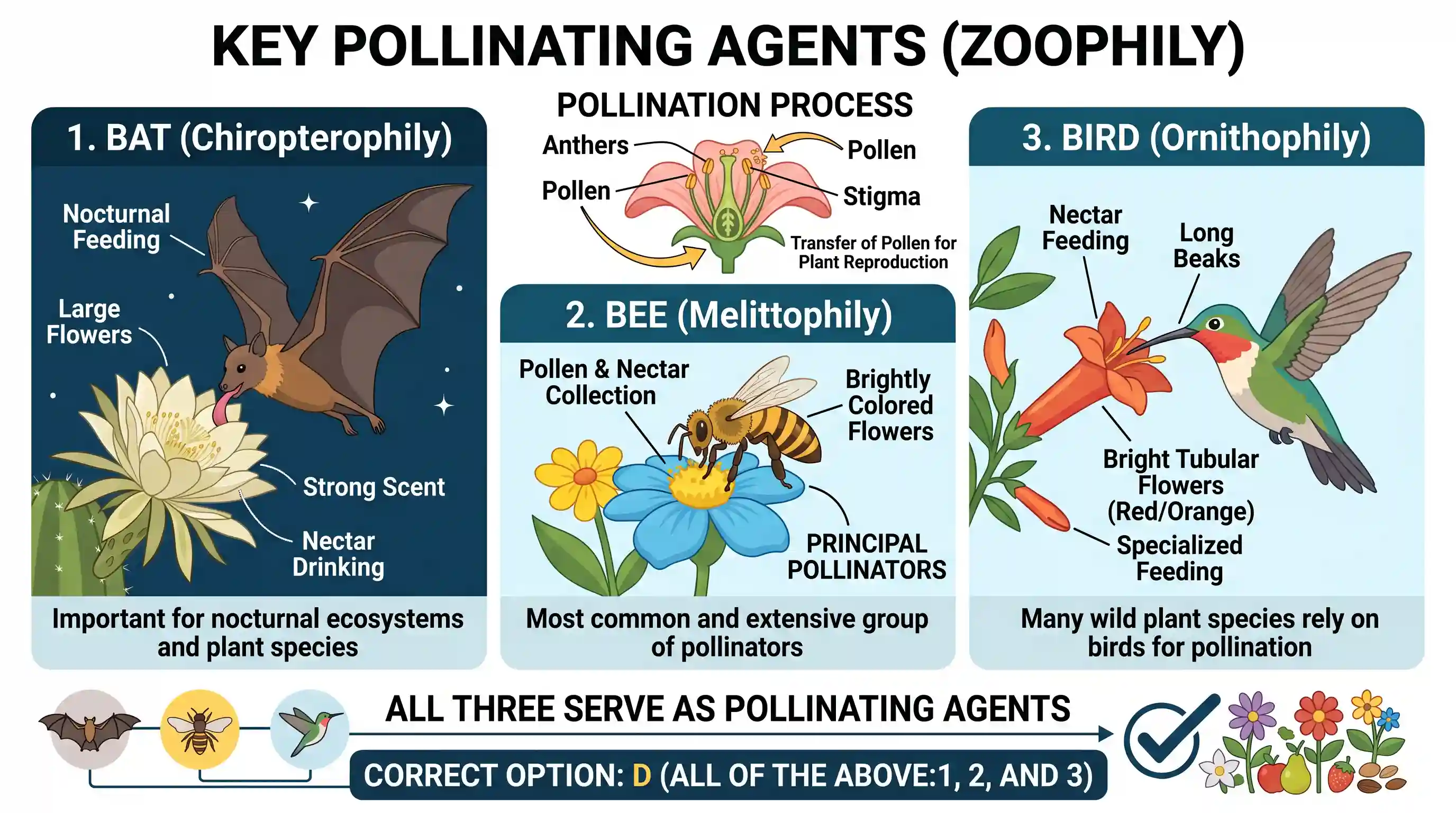 geography: Consider the following kinds of organisms: 1. Bat 2. Bee 3. Bird Which of the above is/are pollinating agent/agents?