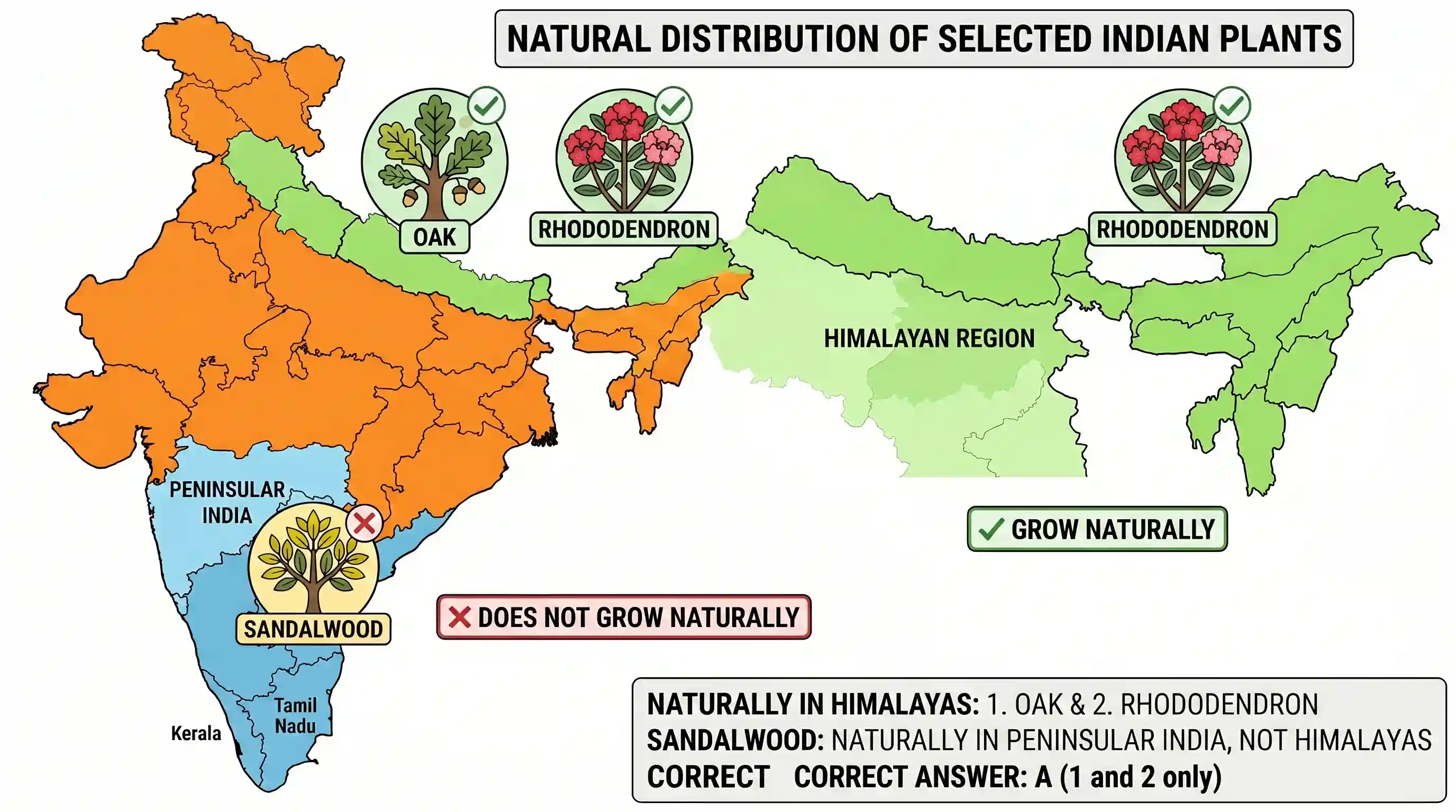 geography: If you travel through the Himalayas, you are likely to see which of the following plants naturally growing there? 1. Oak