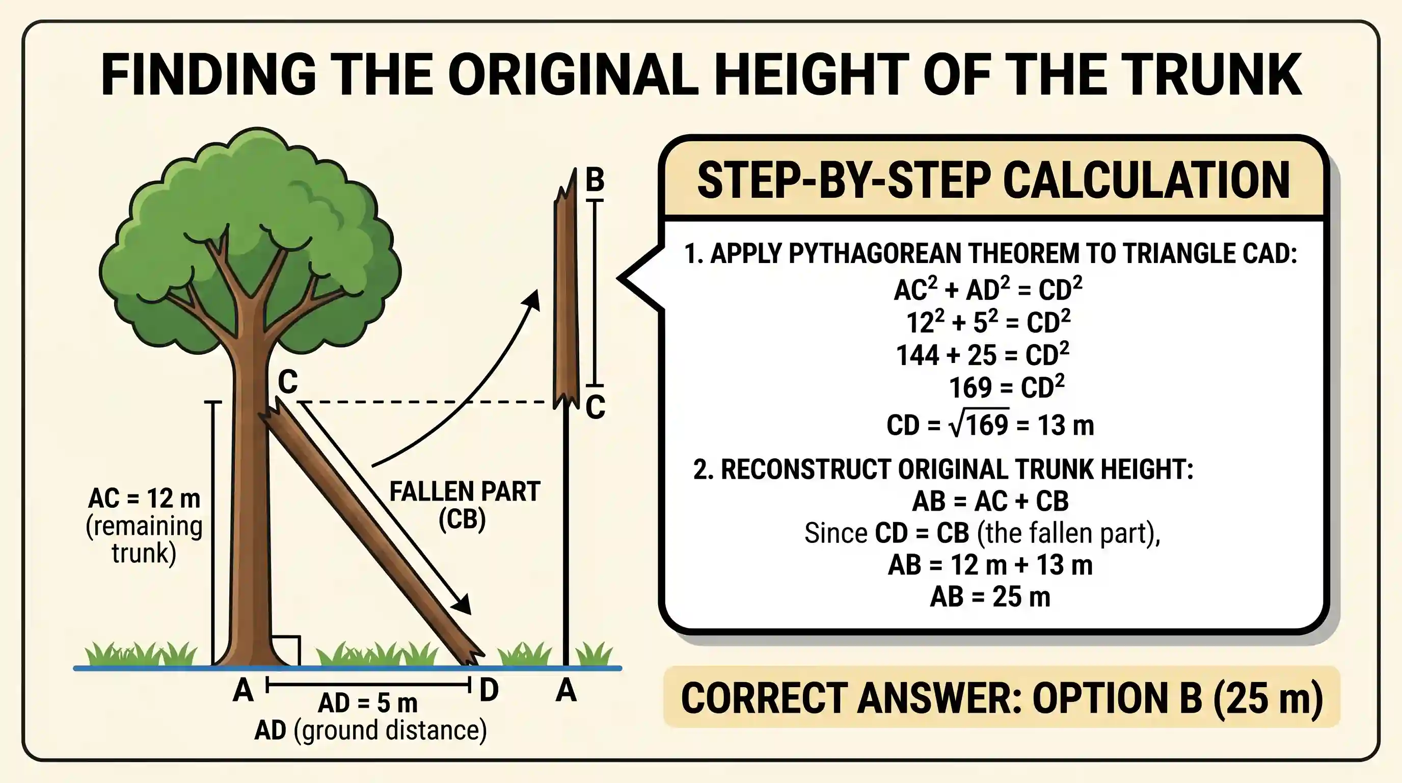 Quantitative Aptitude: AB is a vertical trunk of a huge tree with A being the point where the base of the trunk touches the ground. Due to a cy