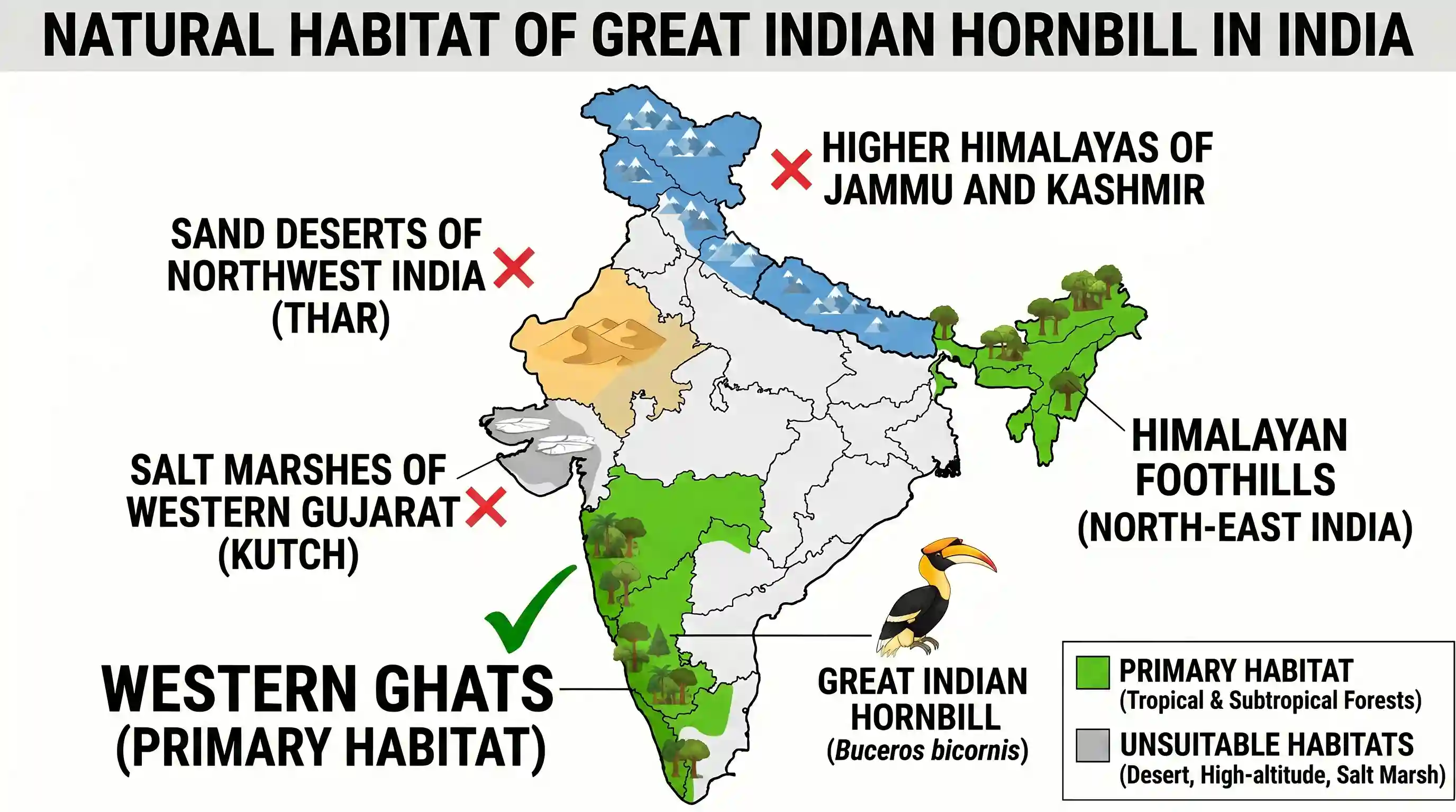 geography: In which of the following regions of India are you most likely to come across the 'Great Indian Hornbill' in its natural