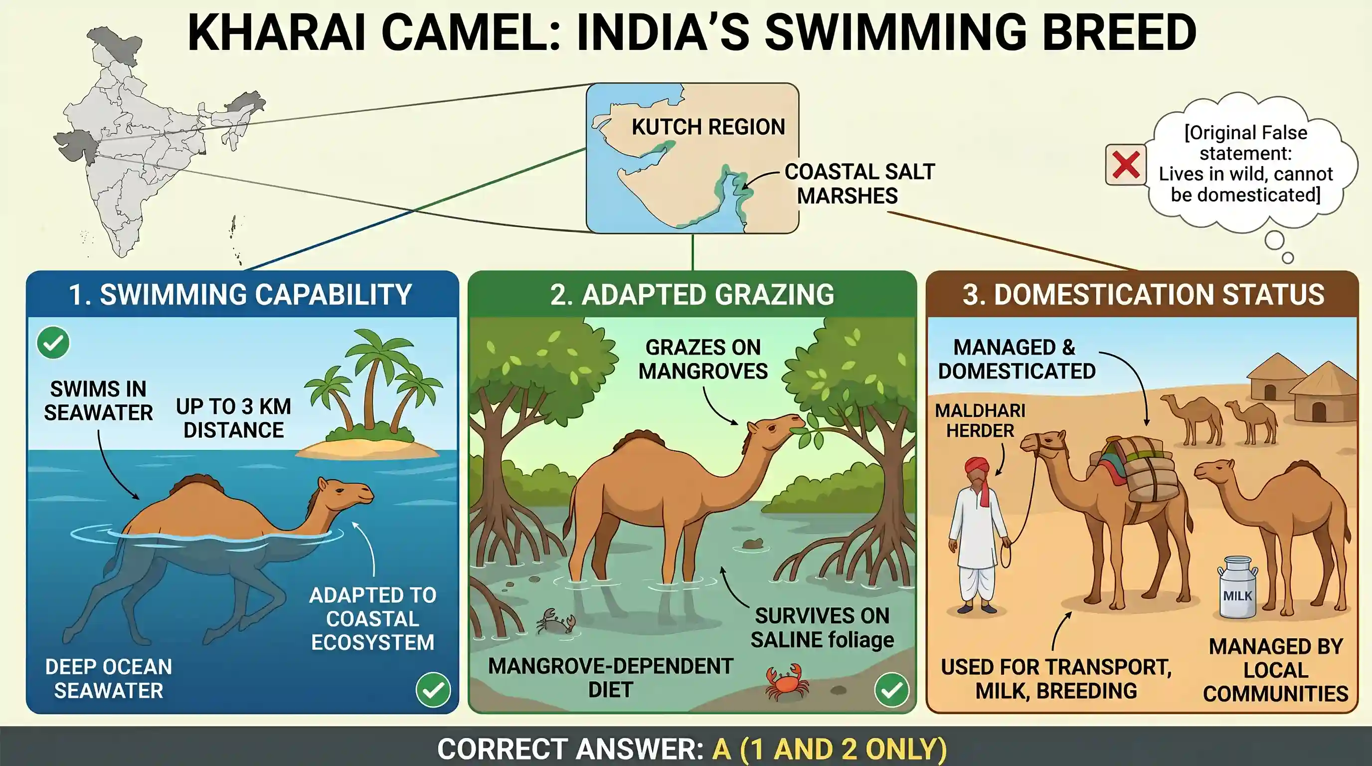 geography: What is/are unique about 'Kharai camel', a breed found in India? 1. It is capable of swimming up to three kilometres in