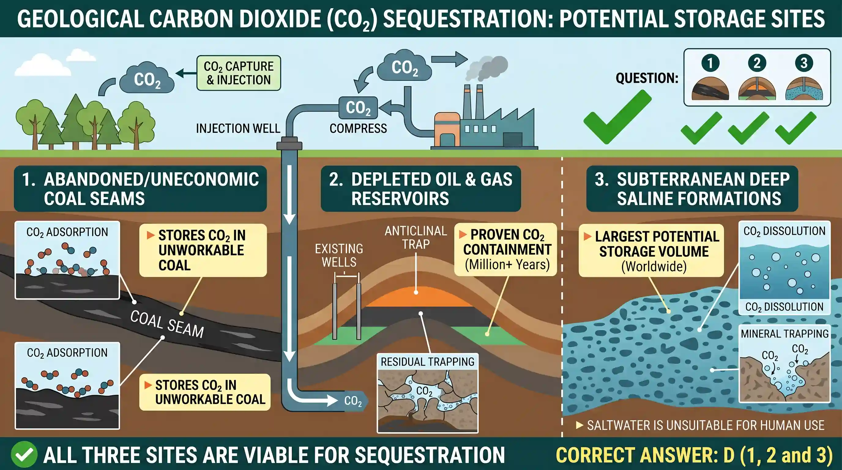 geography: In the context of mitigating the impending global warming due to anthropogenic emissions of carbon dioxide, which of the