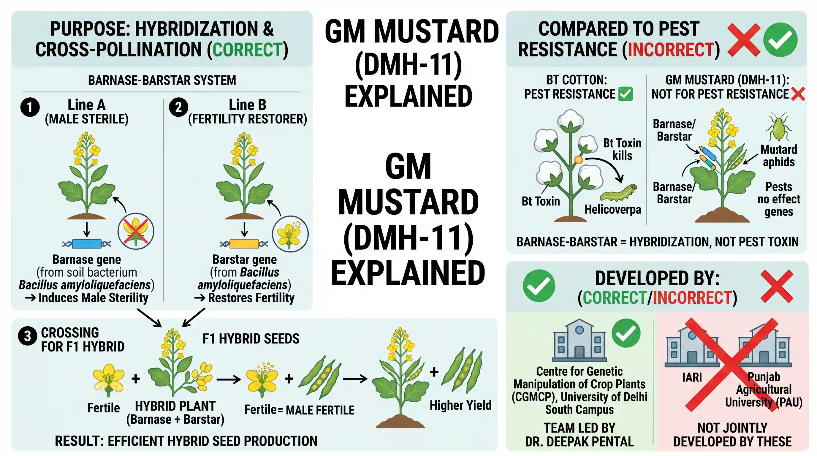science-and-technology: With reference to the Genetically Modified mustard (GM mustard) developed in India, consider the following statements: 1