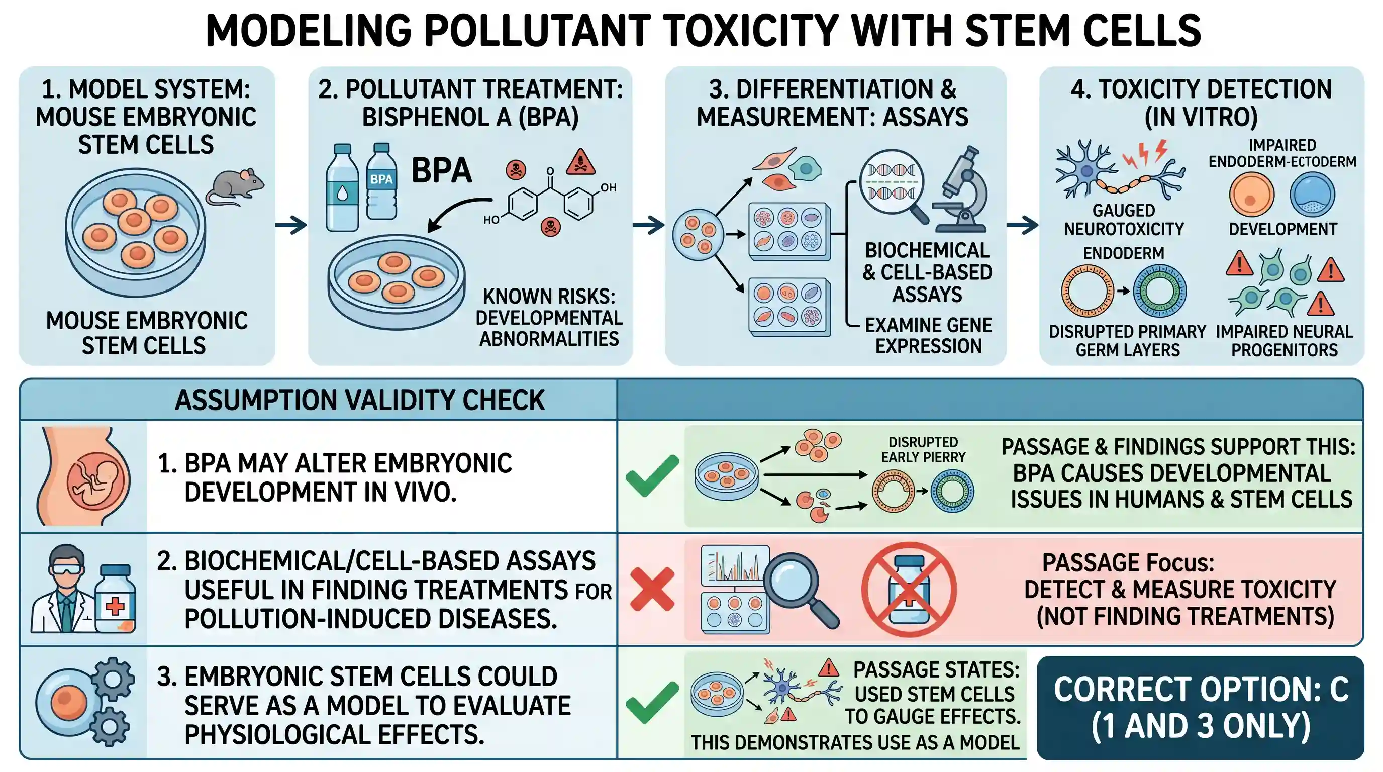 Reading Comprehension: Researchers were able to use stem cells to gauge the neurotoxic effects of the environmental pollutant Bisphenol A (BPA)
