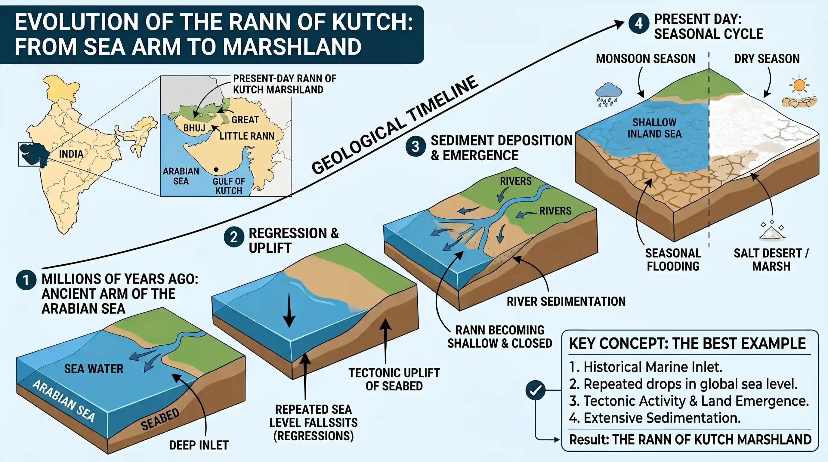 geography: Which one of the following is the best example of repeated falls in sea level, giving rise to present-day extensive mars