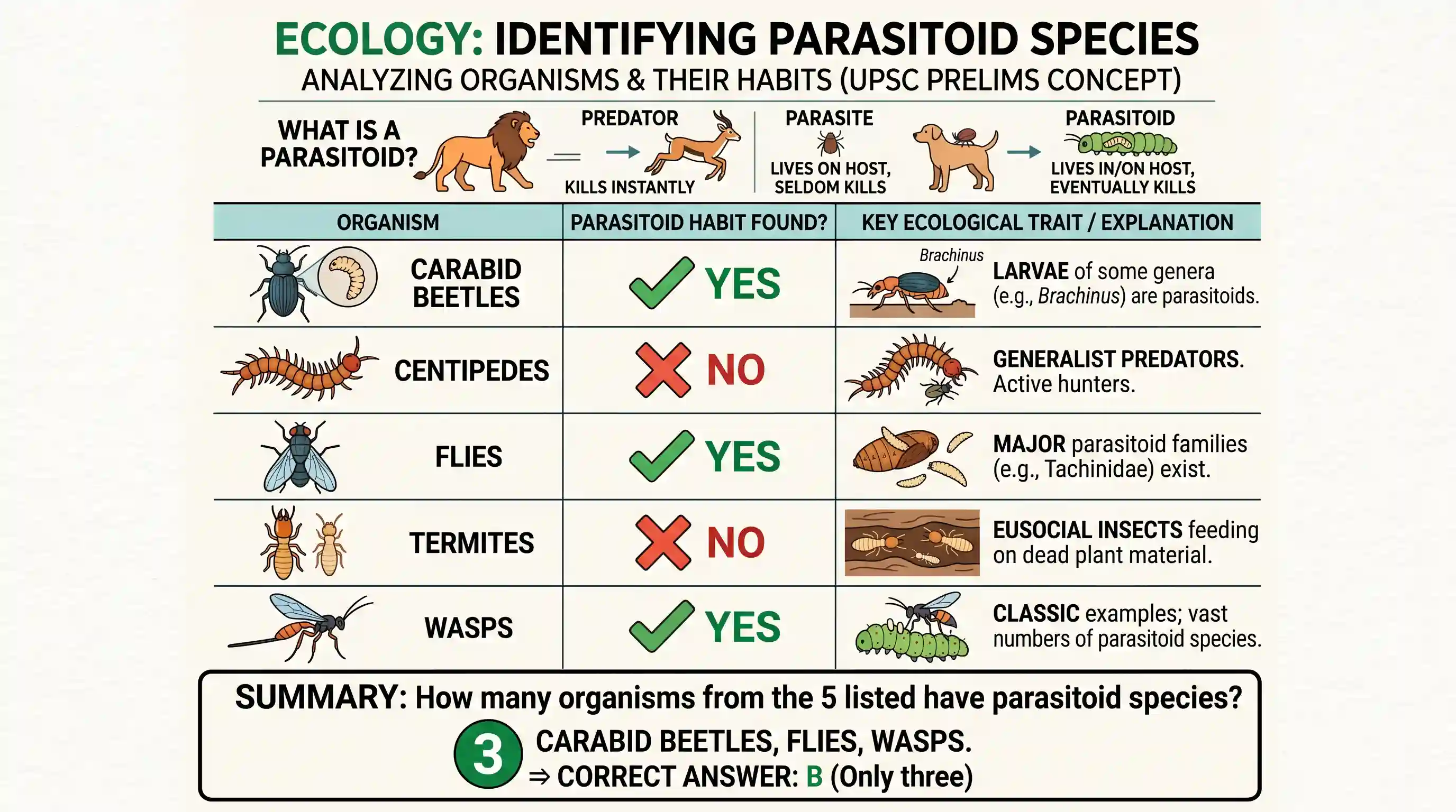 geography: Consider the following : 1. Carabid beetles 2. Centipedes 3. Flies 4. Termites 5. Wasps Parasitoid species are found in