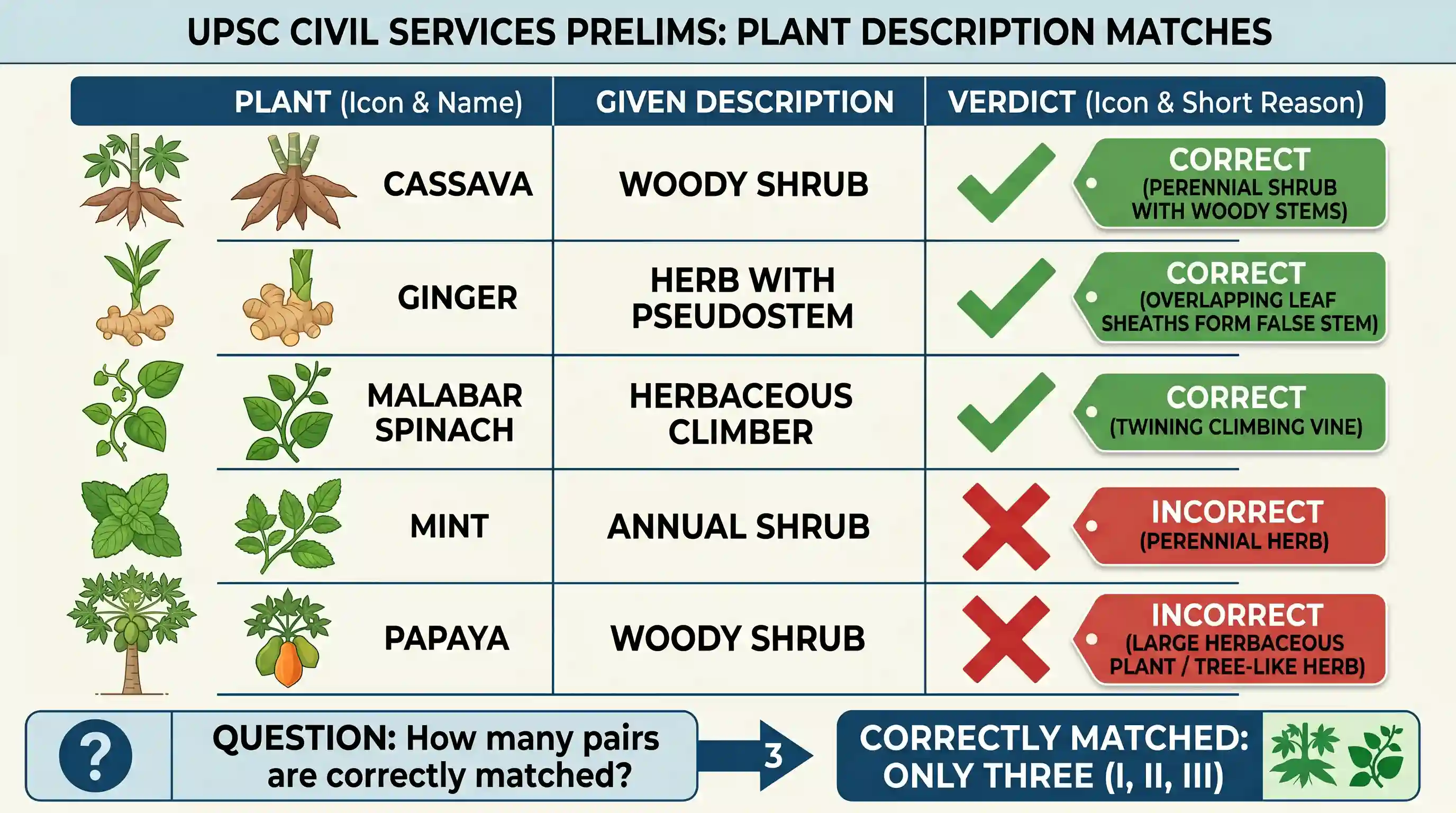 geography: Consider the following pairs : Plant Description I. Cassava : Woody shrub II. Ginger : Herb with pseudostem III. Malabar
