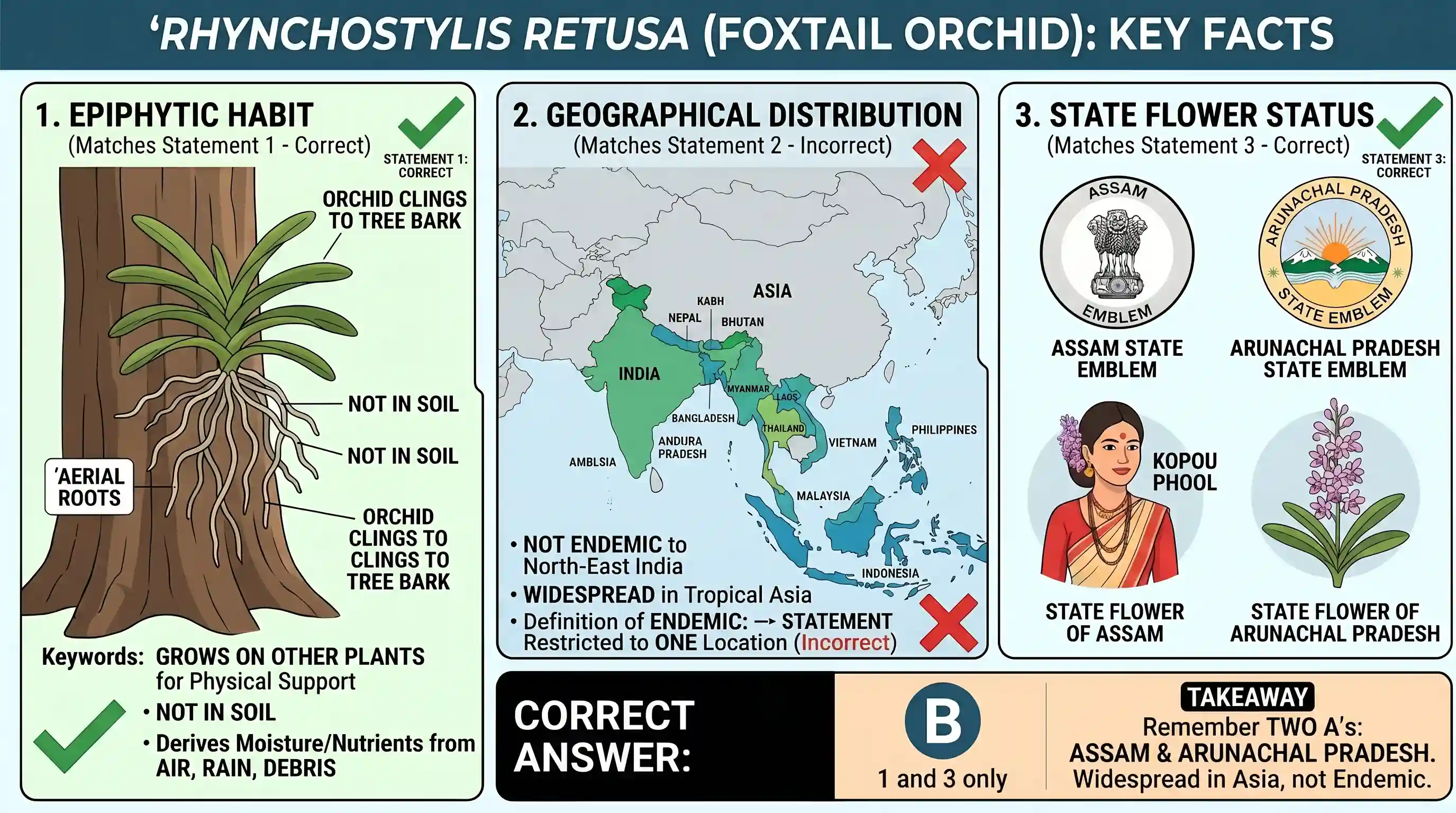 environment: Consider the following statements about Rhynchostylis retusa (Foxtail orchid) : 1. It is an epiphytic orchid. 2. The spe