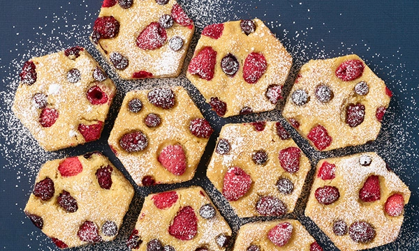 Honey-Berry Lemon Snack Cake