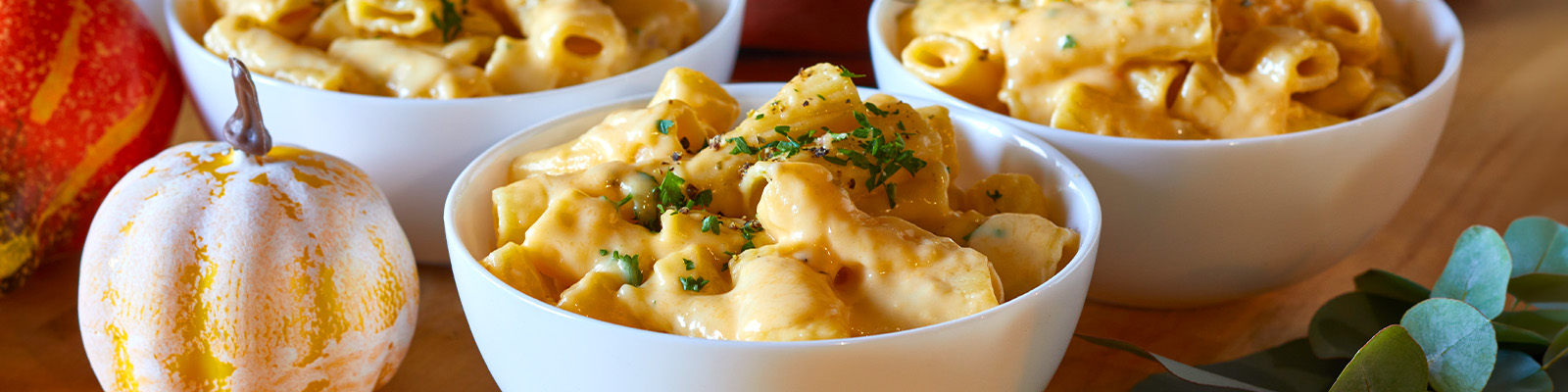 Creamy One Pot Mac & Cheese