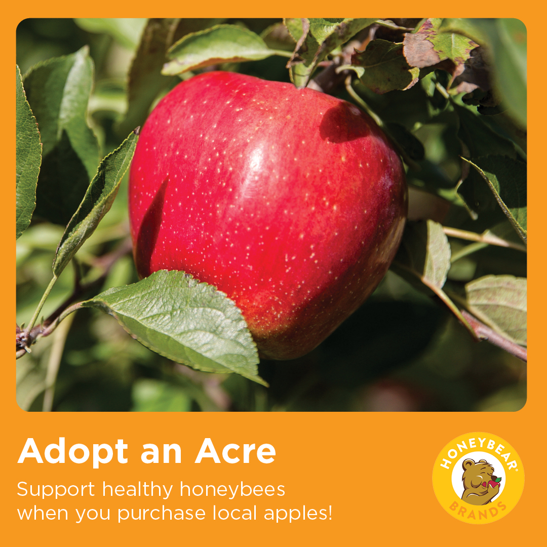adopt an acre honey bear apples