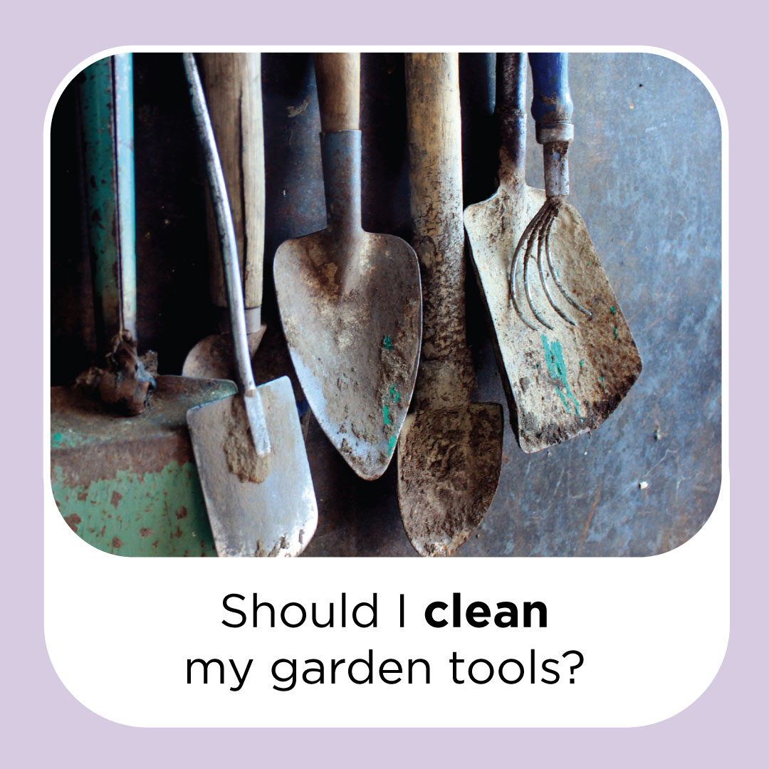 should i clean my garden tools?