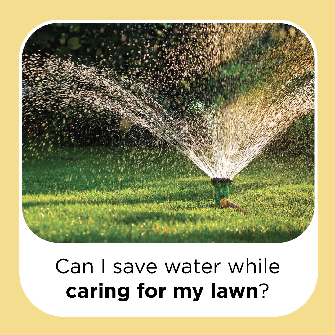can i save water while caring for my lawn?