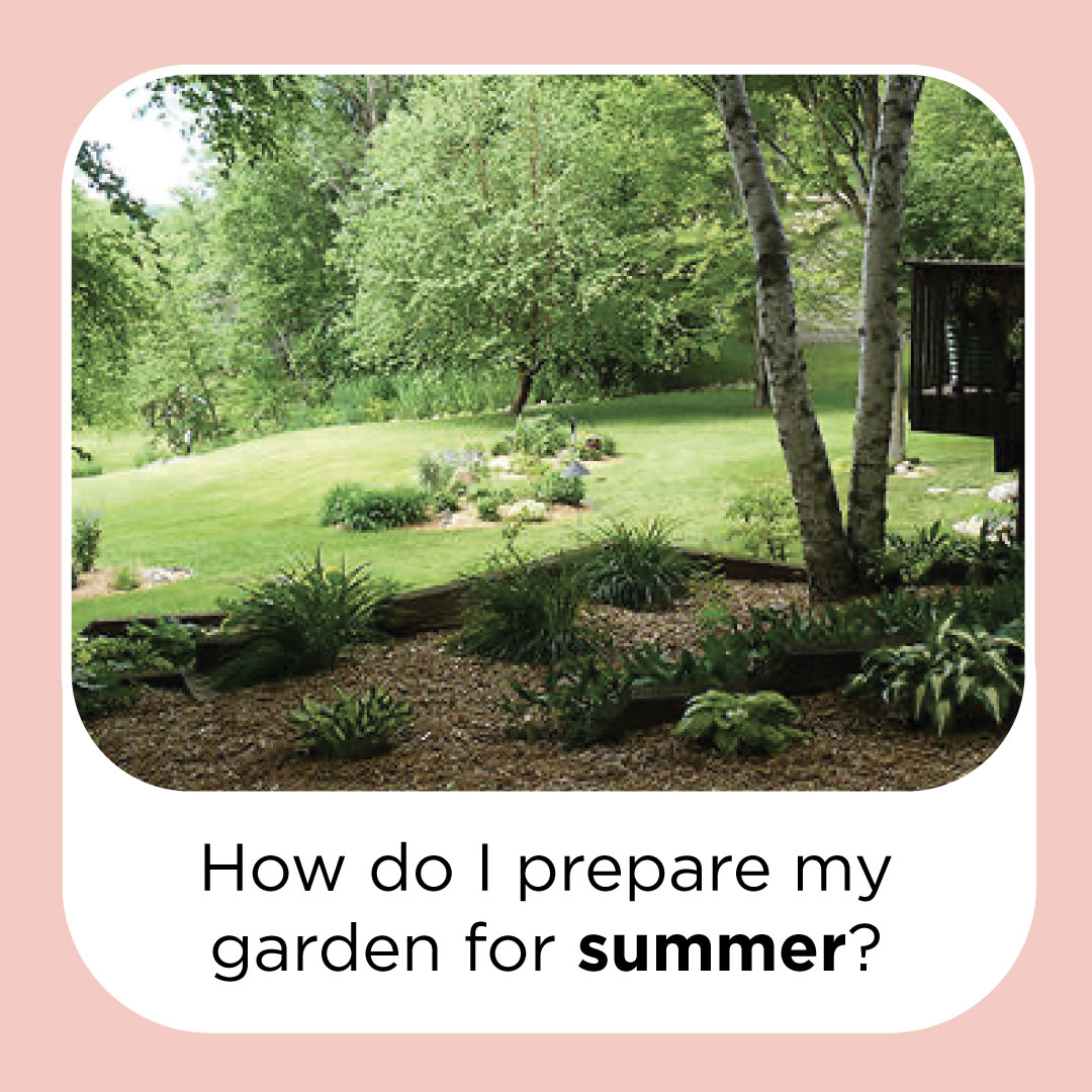 how do i prepare my garden for summer?