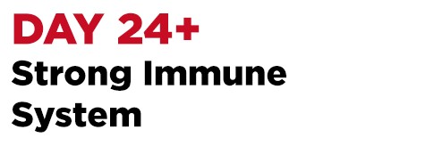 day 24+ strong immune system