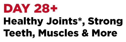 day 28+ healthy joints strong teeth muscles and more