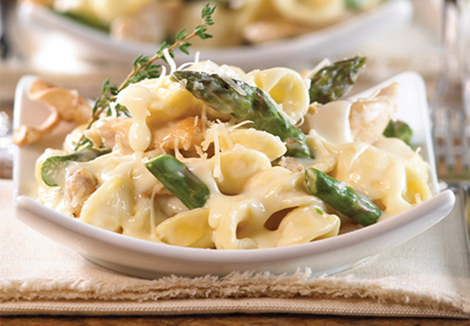Fontina Pasta Sauce