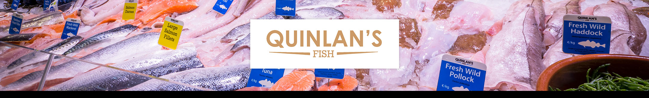 Quinlan's Fish