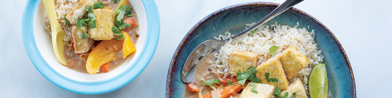 Healthy Baby Friendly Massaman Curry