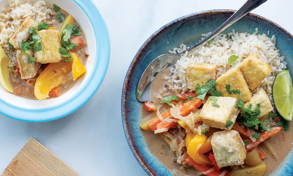 Healthy Baby Friendly Massaman Curry