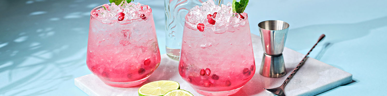 Pomegranate Gin Fizz 