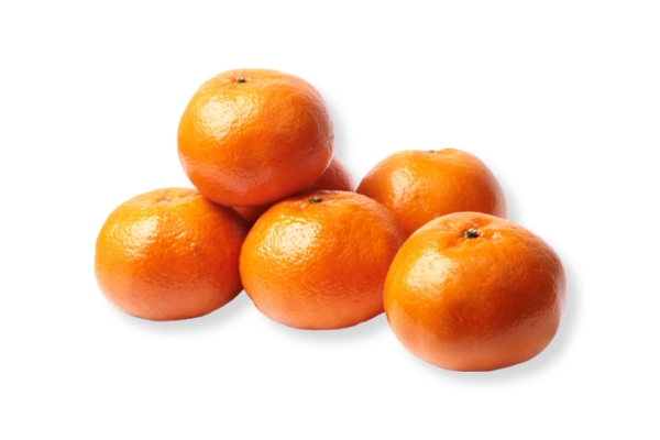 Moroccan Murcott Tangerines