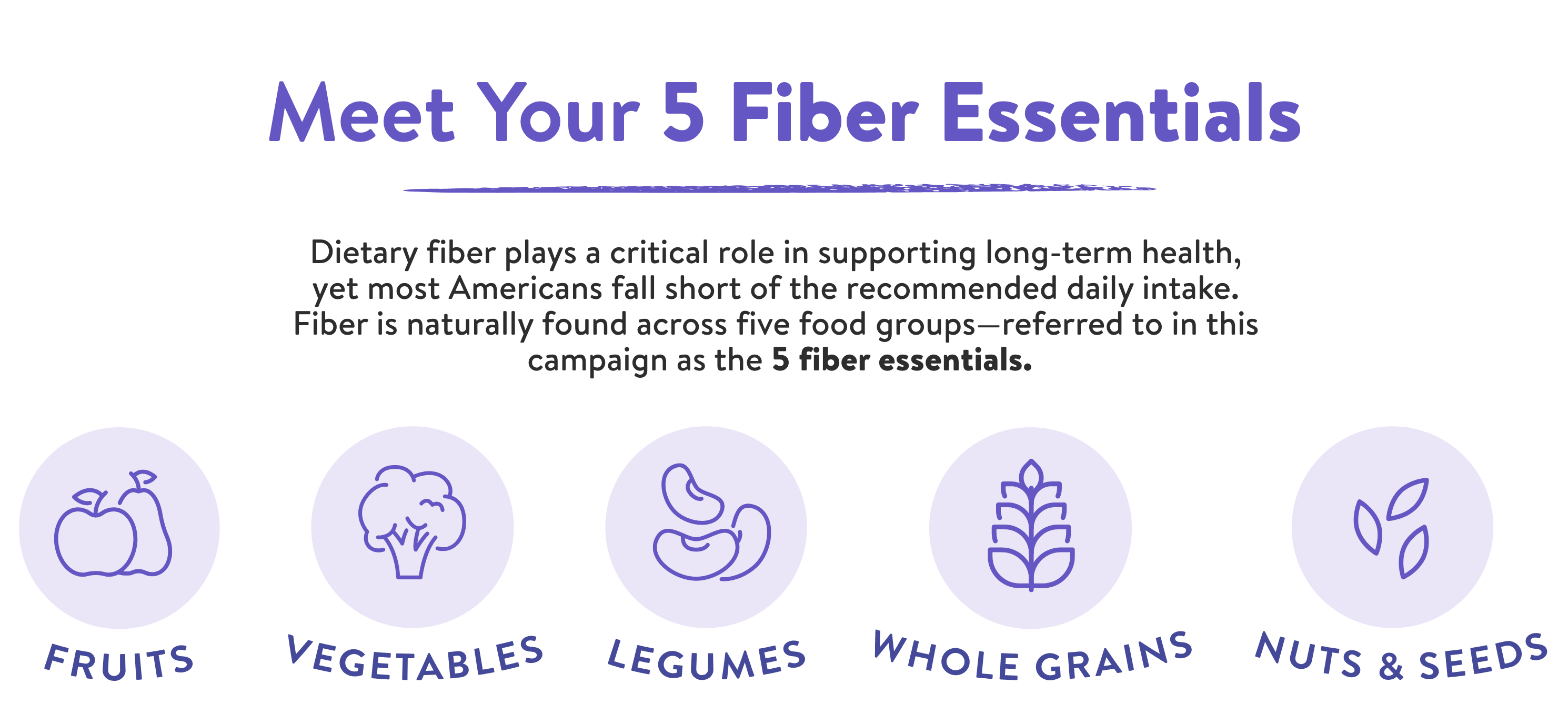 Meet your 5 Fiber Essentials