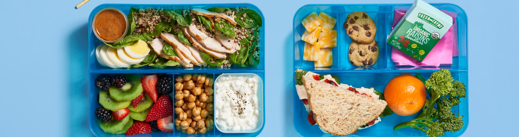 5 Bento Box School Lunches • Freutcake