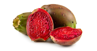 Cactus Pear