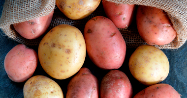 red and gold potatoes