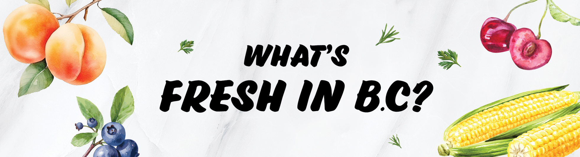 whatsfreshinbc